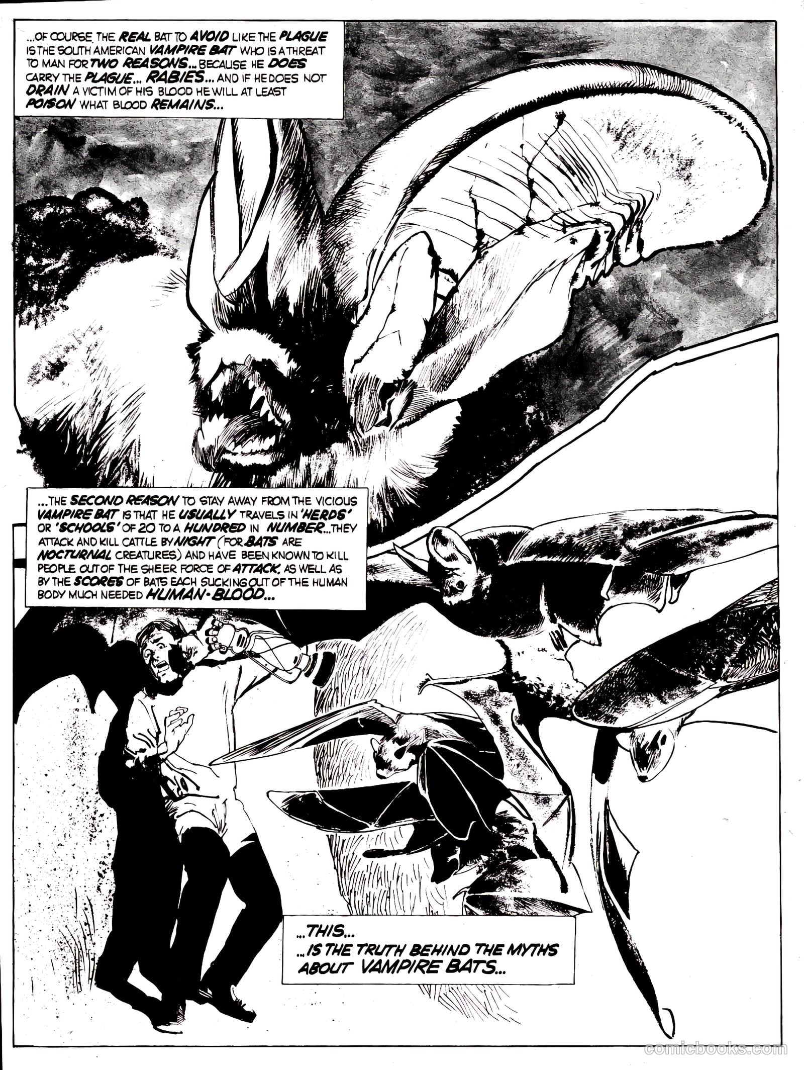 Nightmare #15 — page 20 of 65