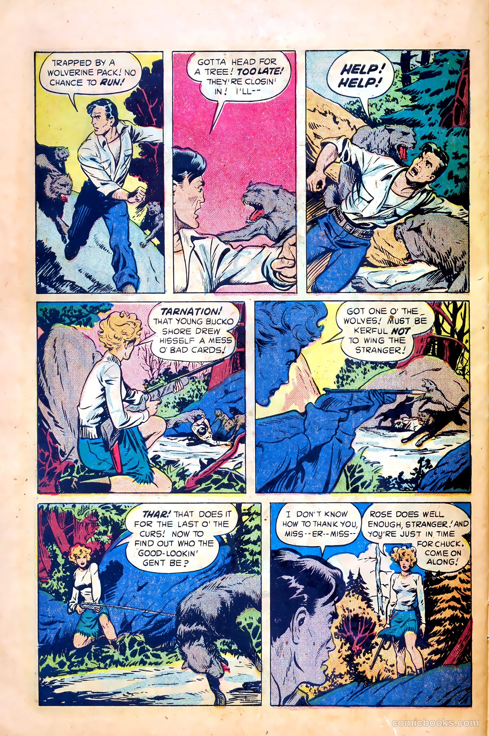 Northwest Mounties #1 — page 28 of 36