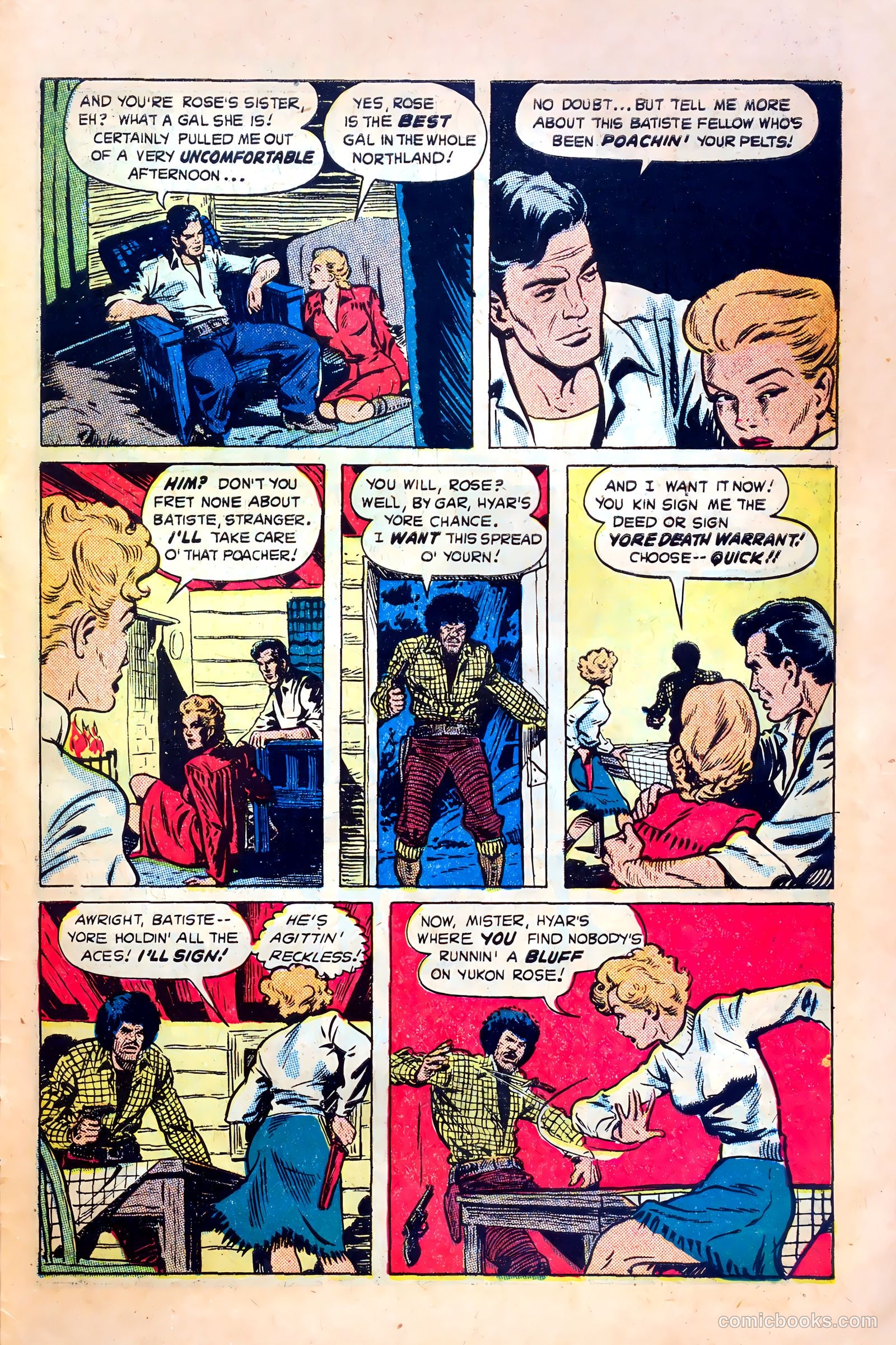 Northwest Mounties #1 — page 29 of 36