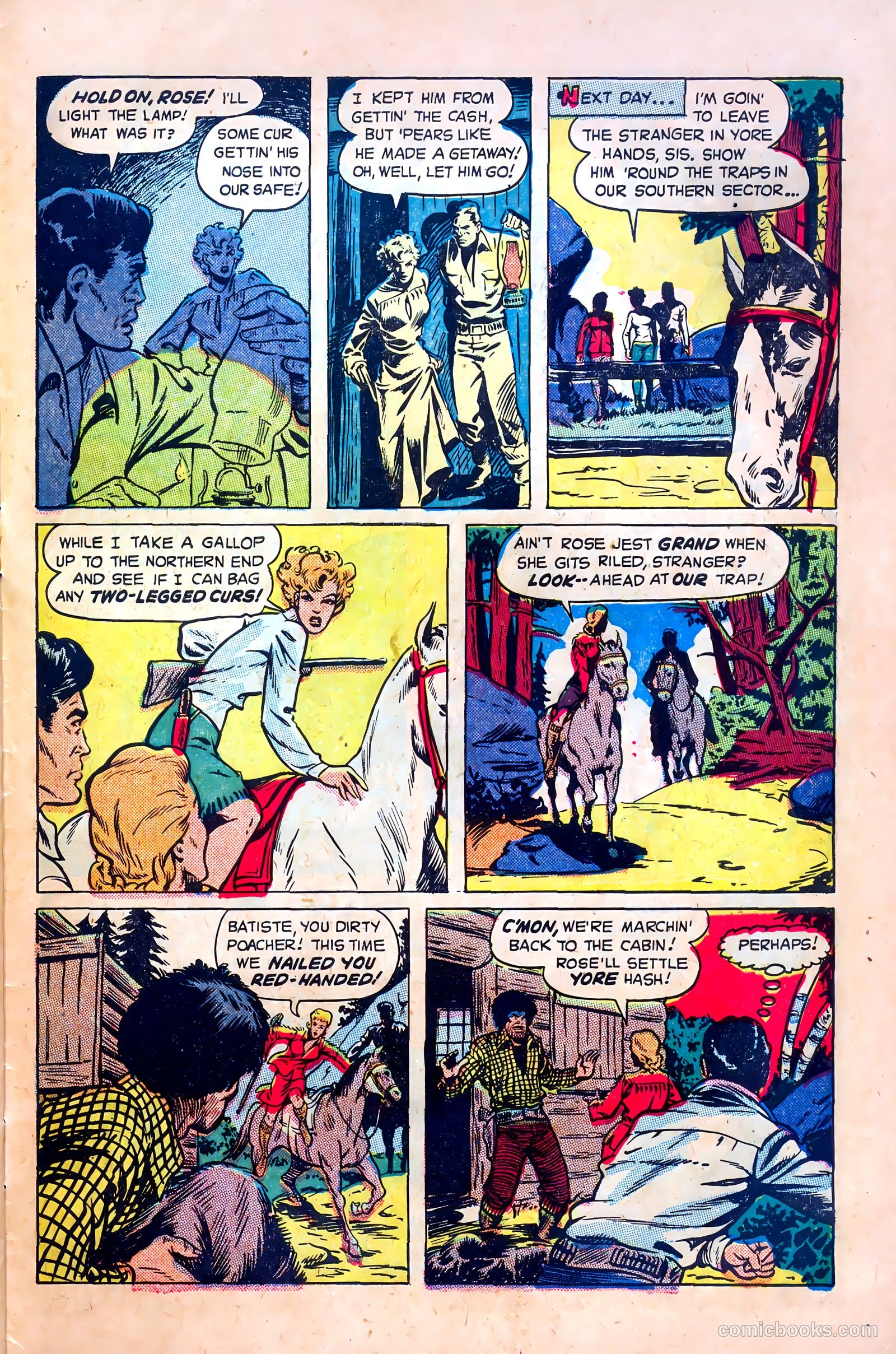 Northwest Mounties #1 — page 31 of 36