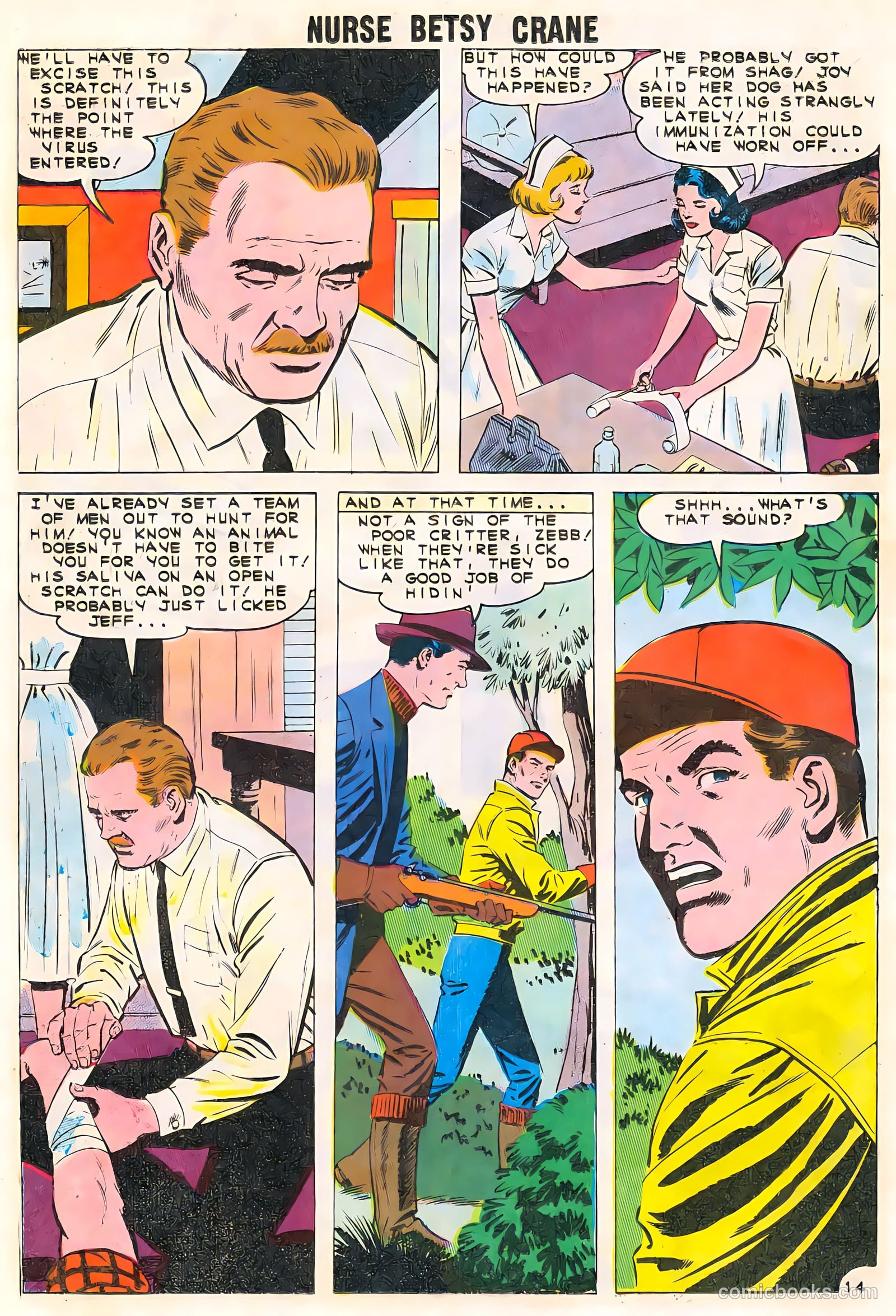 Nurse Betsy Crane #13 — page 18 of 36