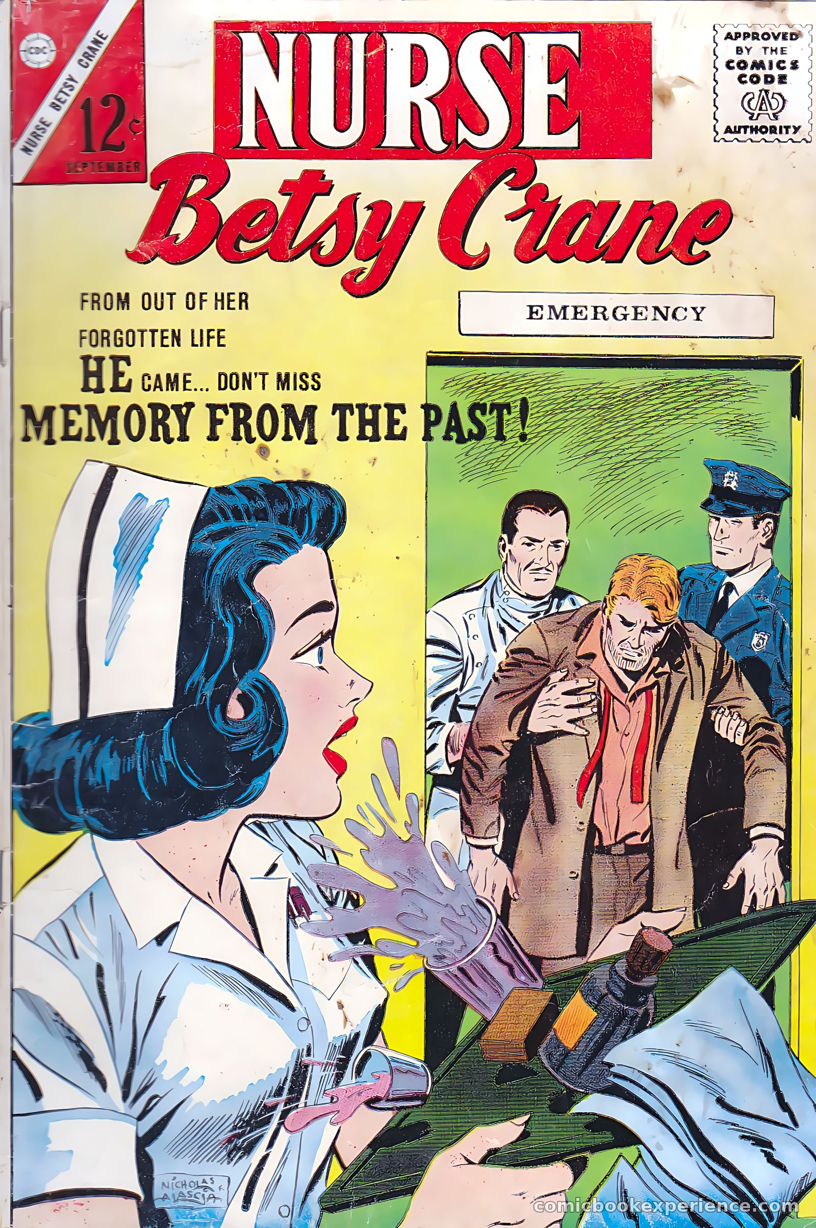 Nurse Betsy Crane #24 — page 1 of 36