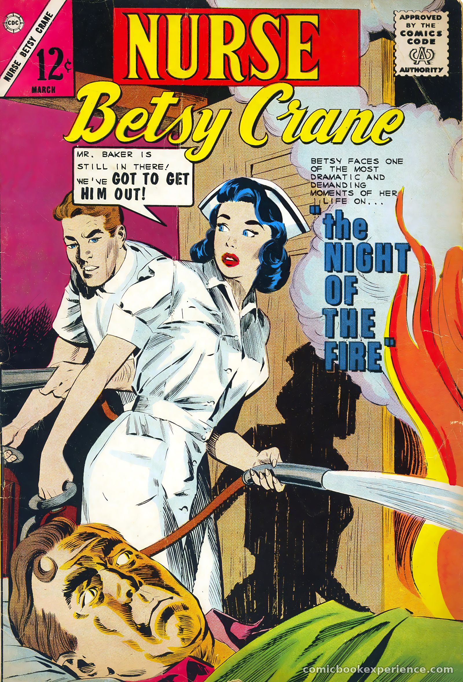 Nurse Betsy Crane #27 — page 1 of 37