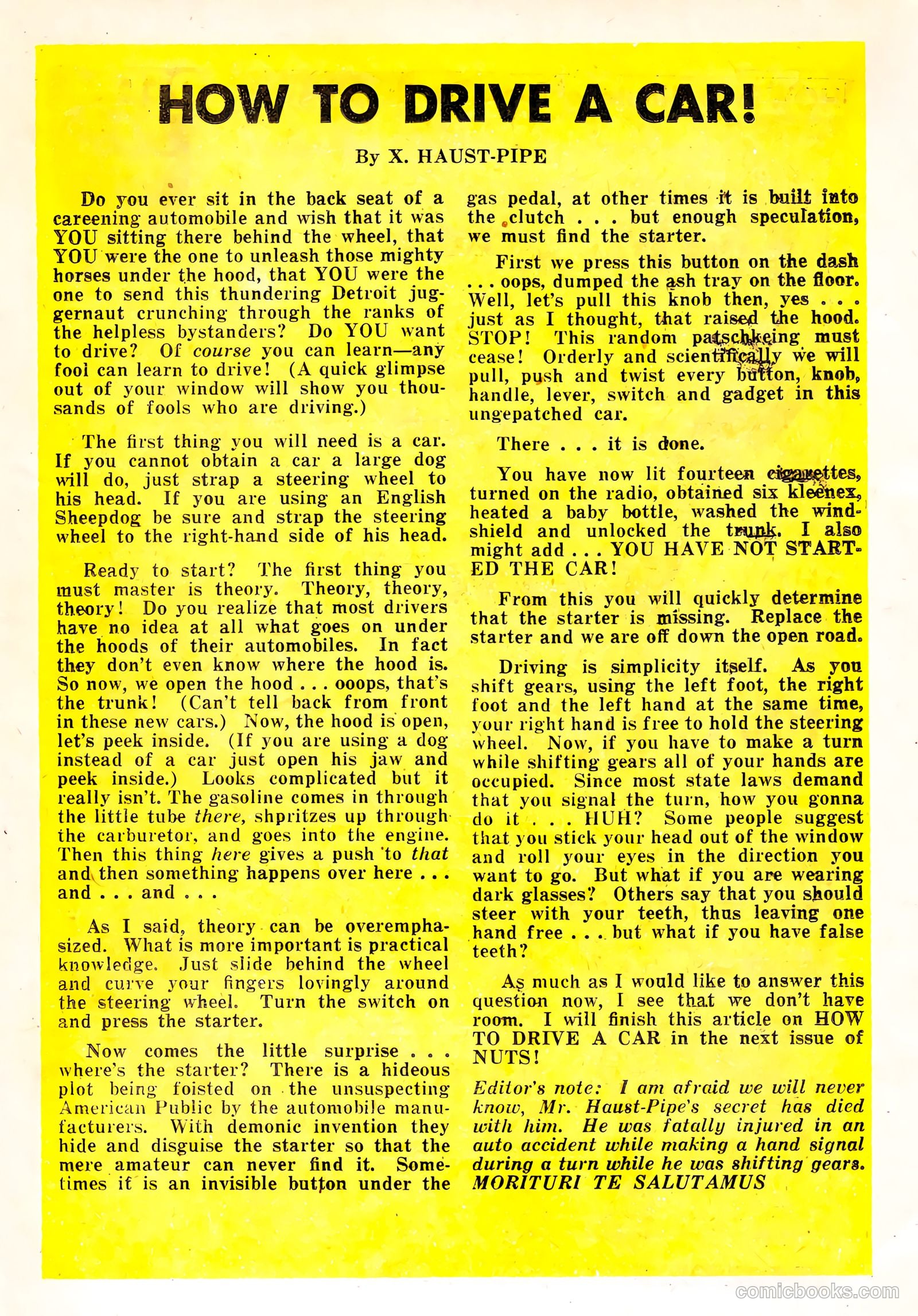 Nuts! #5 — page 11 of 37