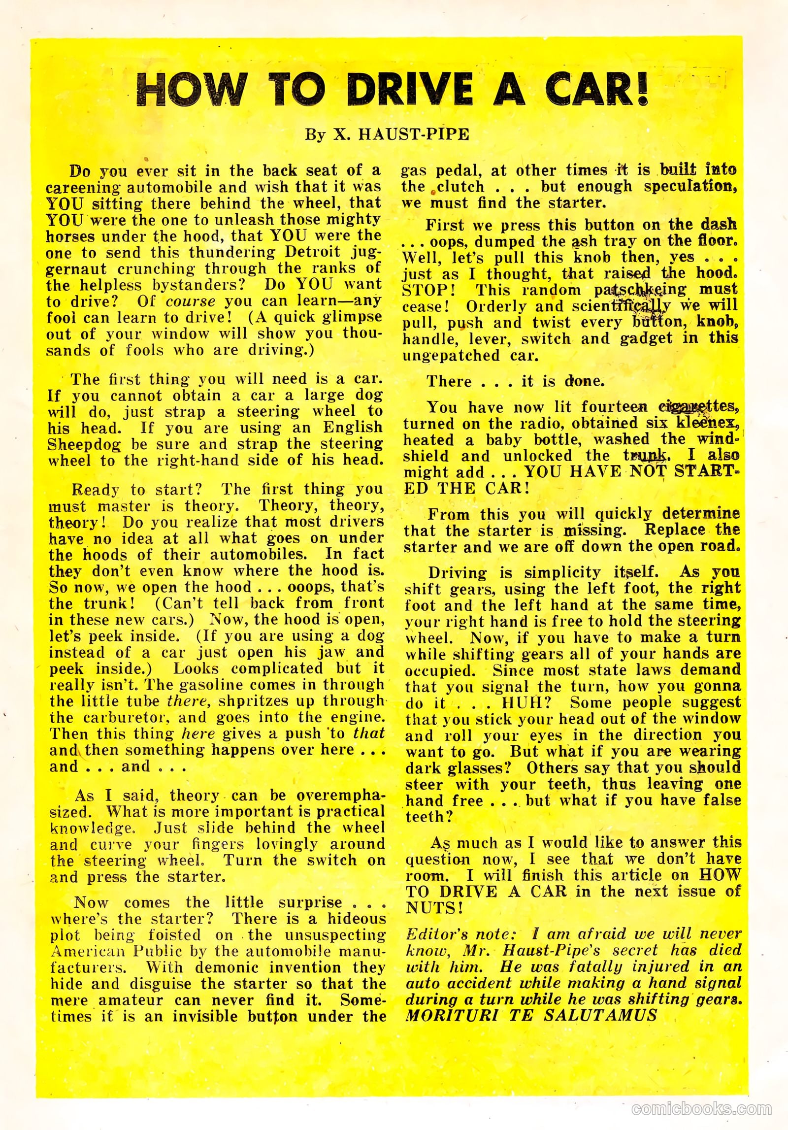 Nuts! #5 — page 11 of 36