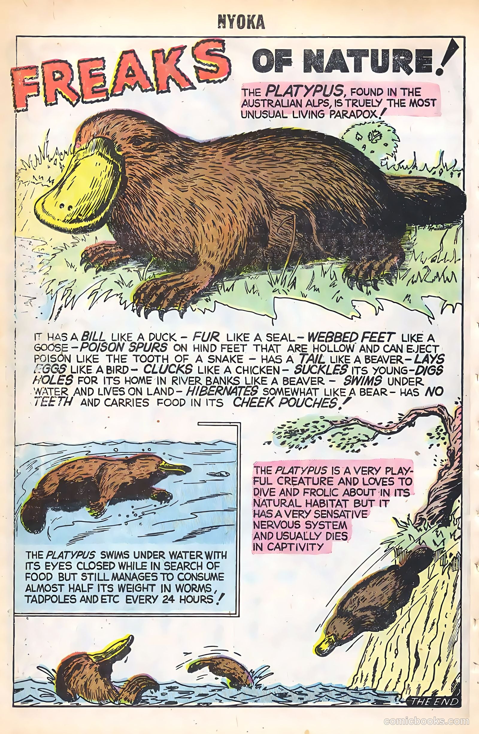Nyoka the Jungle Girl #16 — page 26 of 36