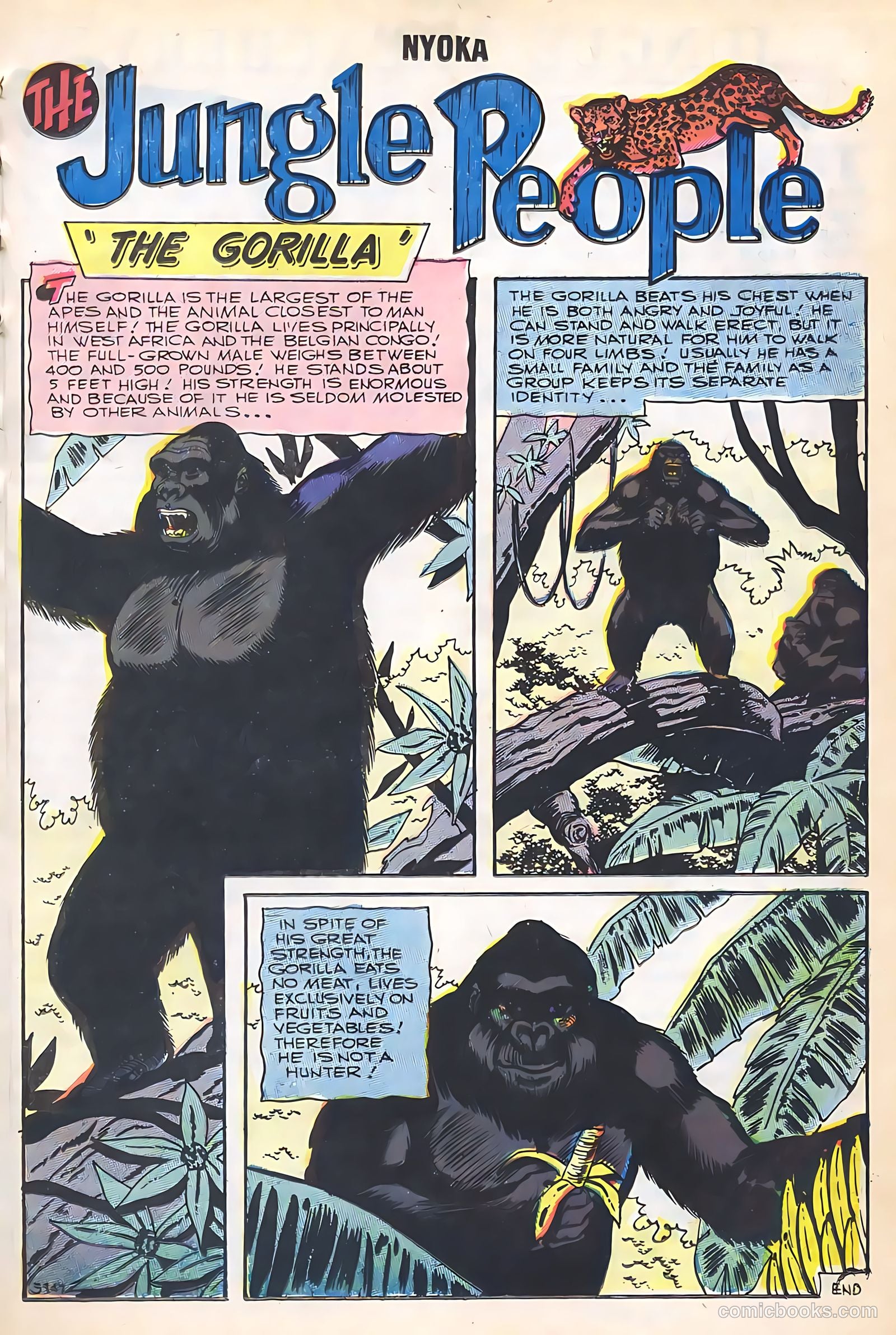 Nyoka the Jungle Girl #18 — page 17 of 36