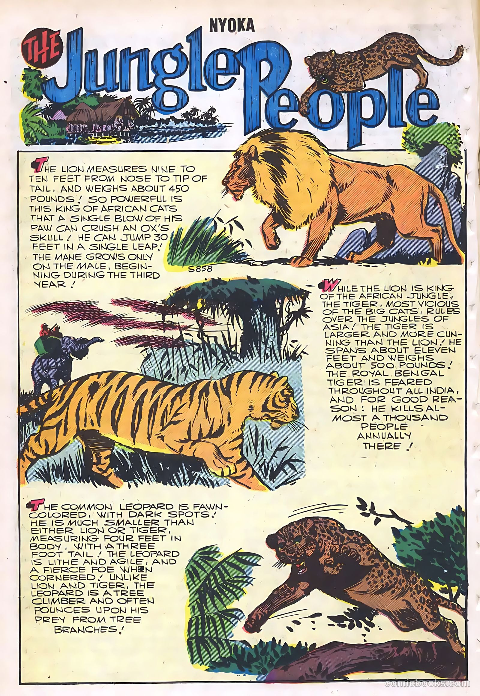 Nyoka the Jungle Girl #19 — page 18 of 36