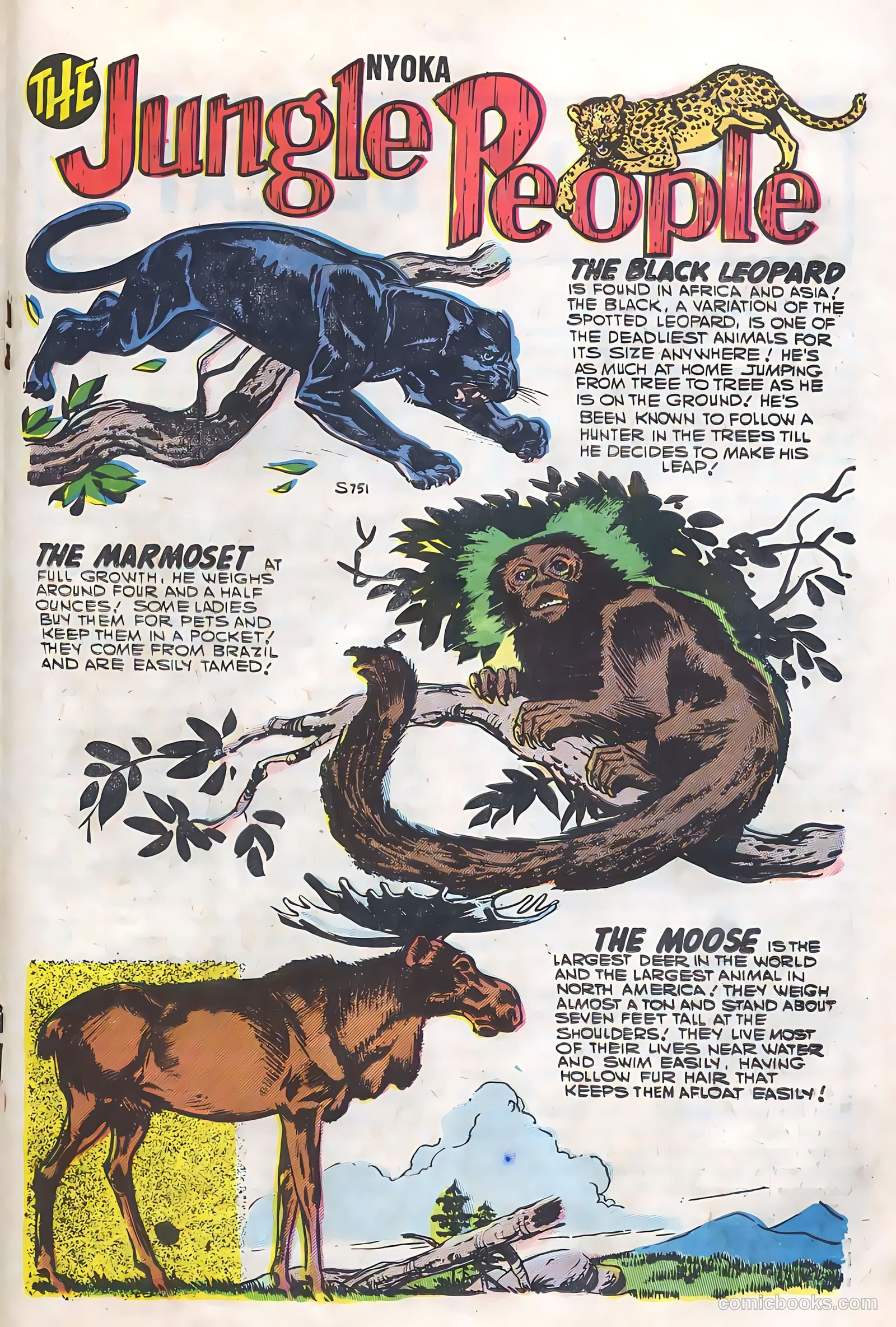 Nyoka the Jungle Girl #21 — page 19 of 36