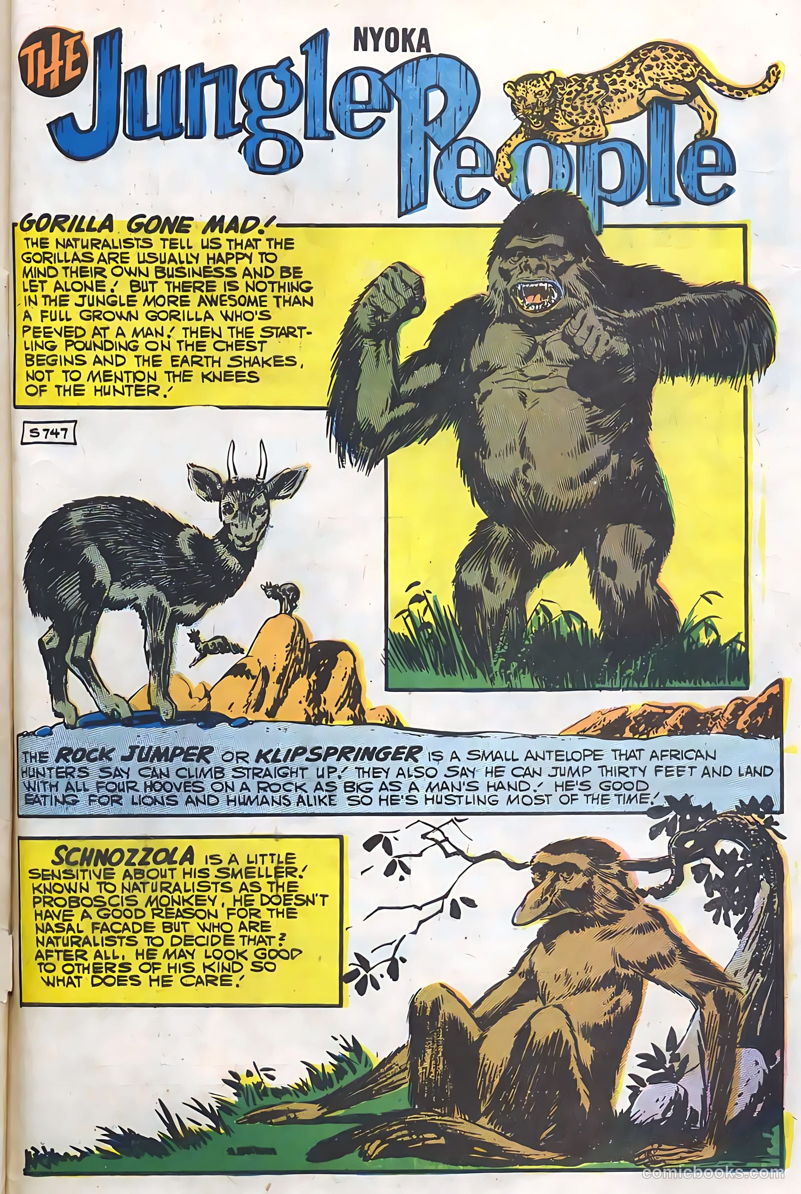 Nyoka the Jungle Girl #21 — page 33 of 36