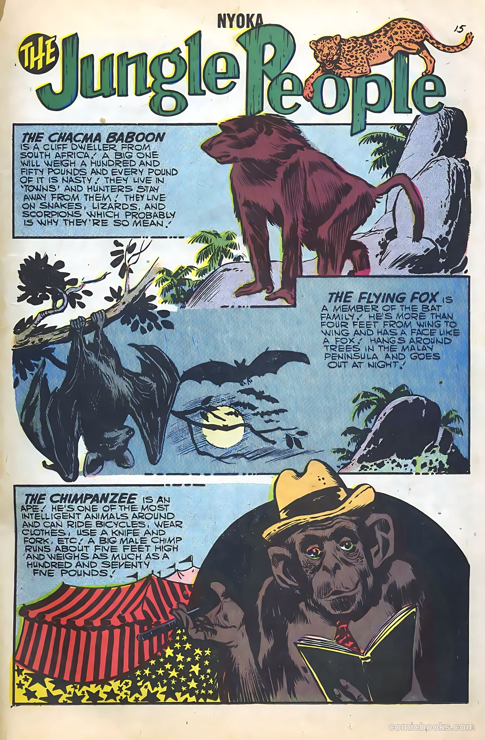 Nyoka the Jungle Girl #22 — page 17 of 36