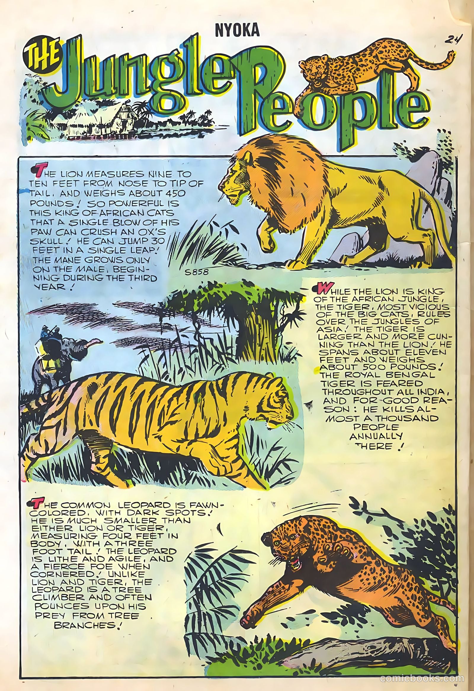 Nyoka the Jungle Girl #22 — page 26 of 36