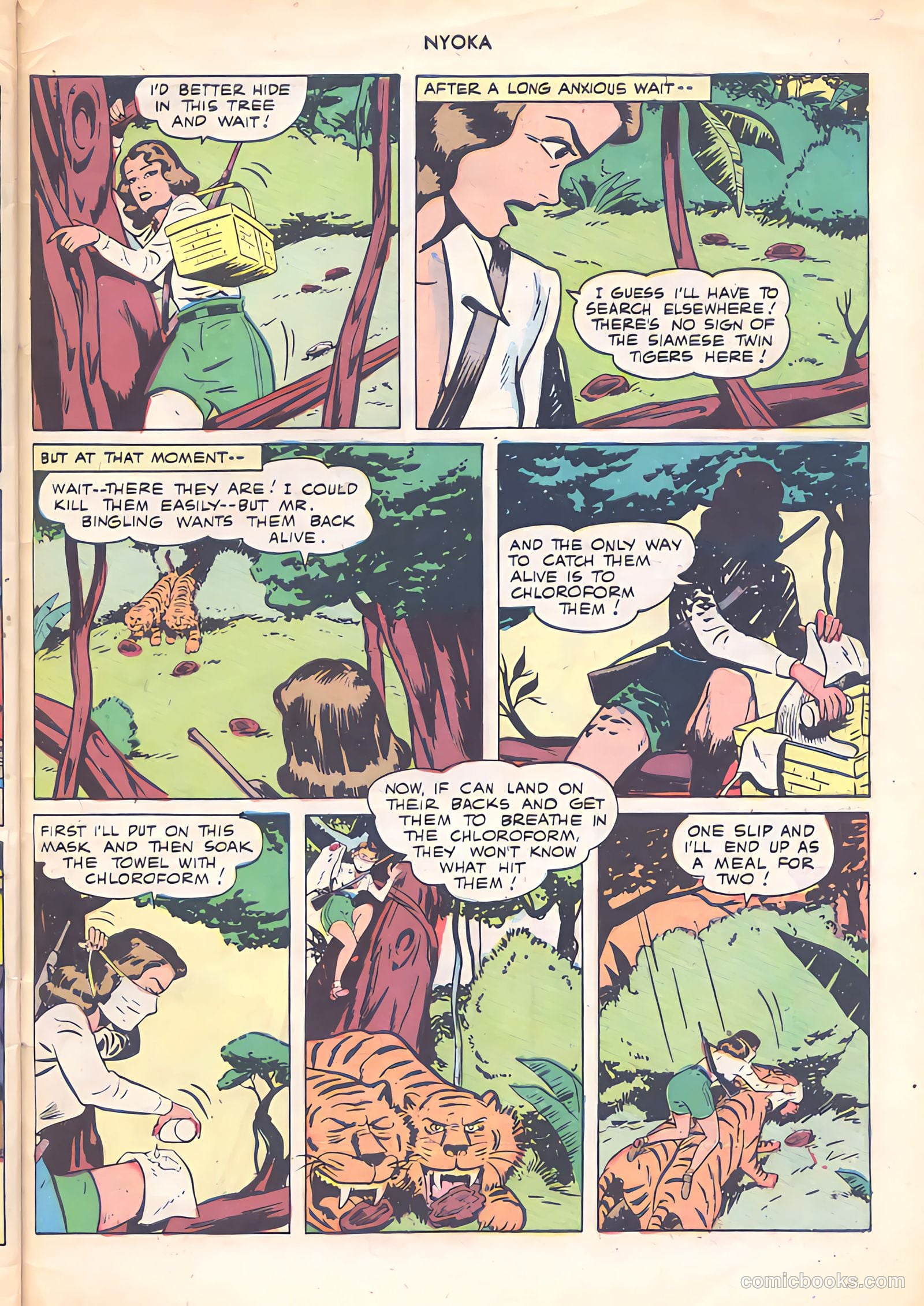 Nyoka the Jungle Girl #23 — page 31 of 36