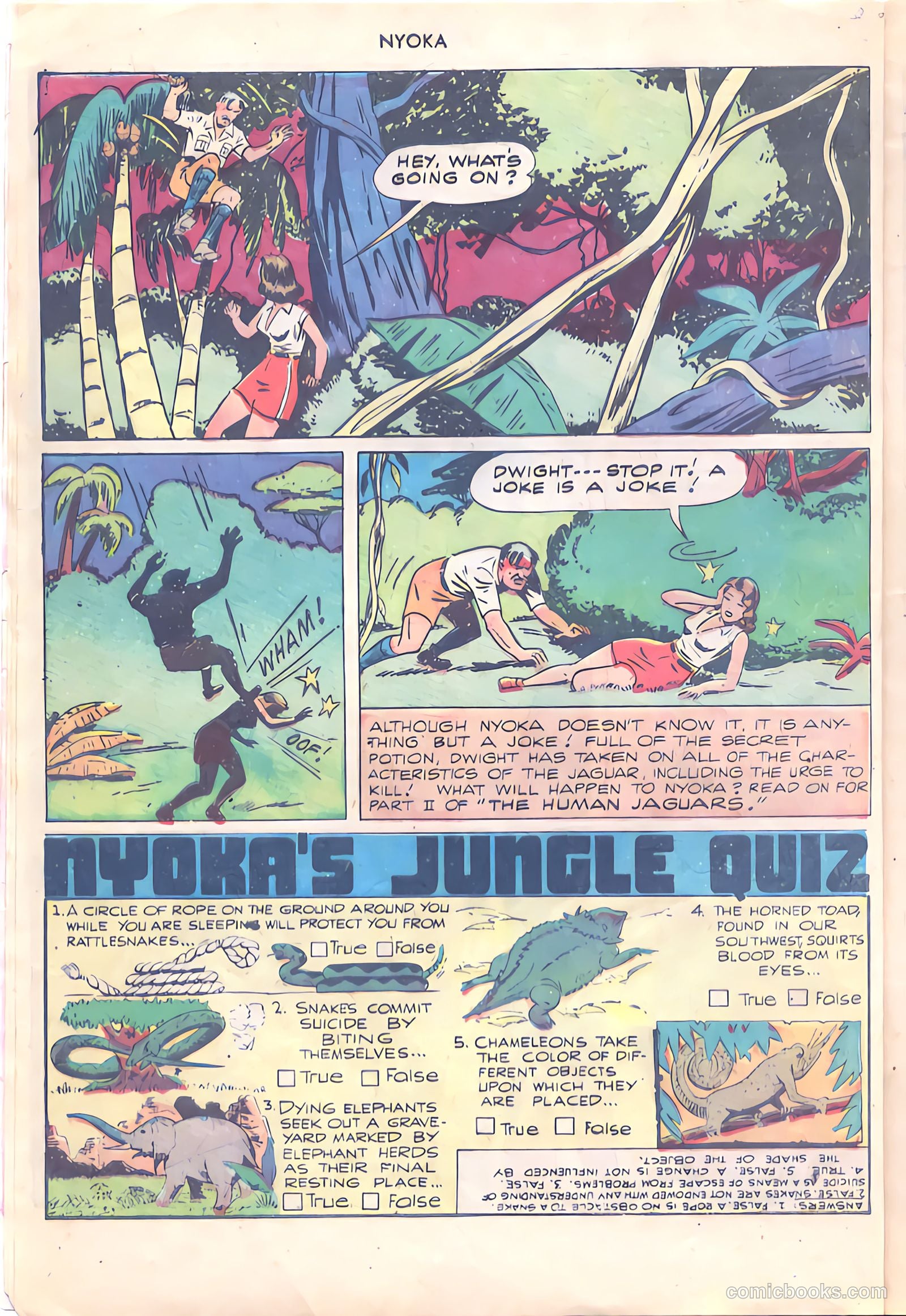 Nyoka the Jungle Girl #24 — page 8 of 36