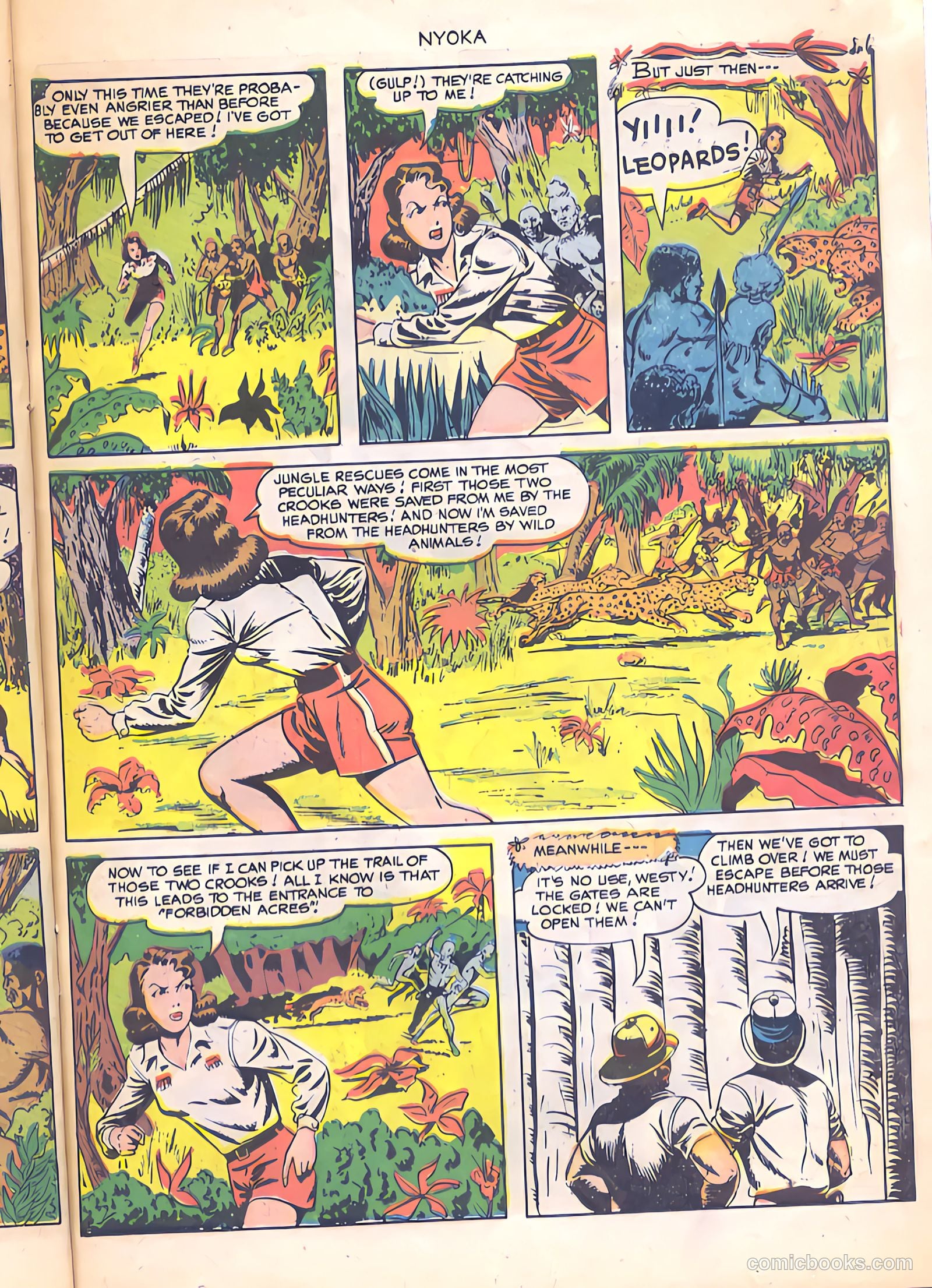 Nyoka the Jungle Girl #40 — page 23 of 36