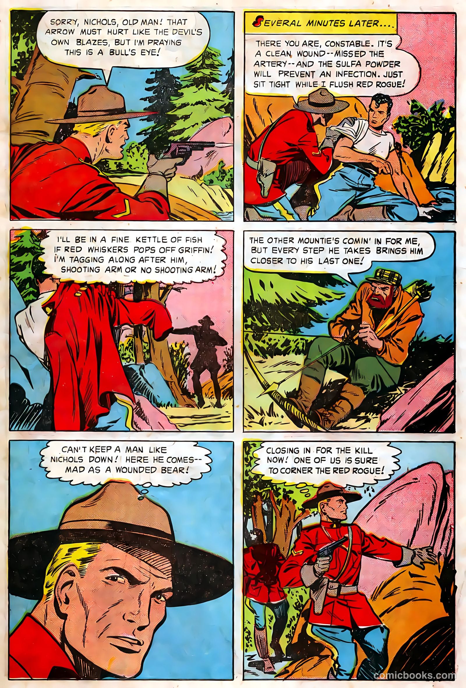 Authentic Police Cases #10 — page 33 of 36