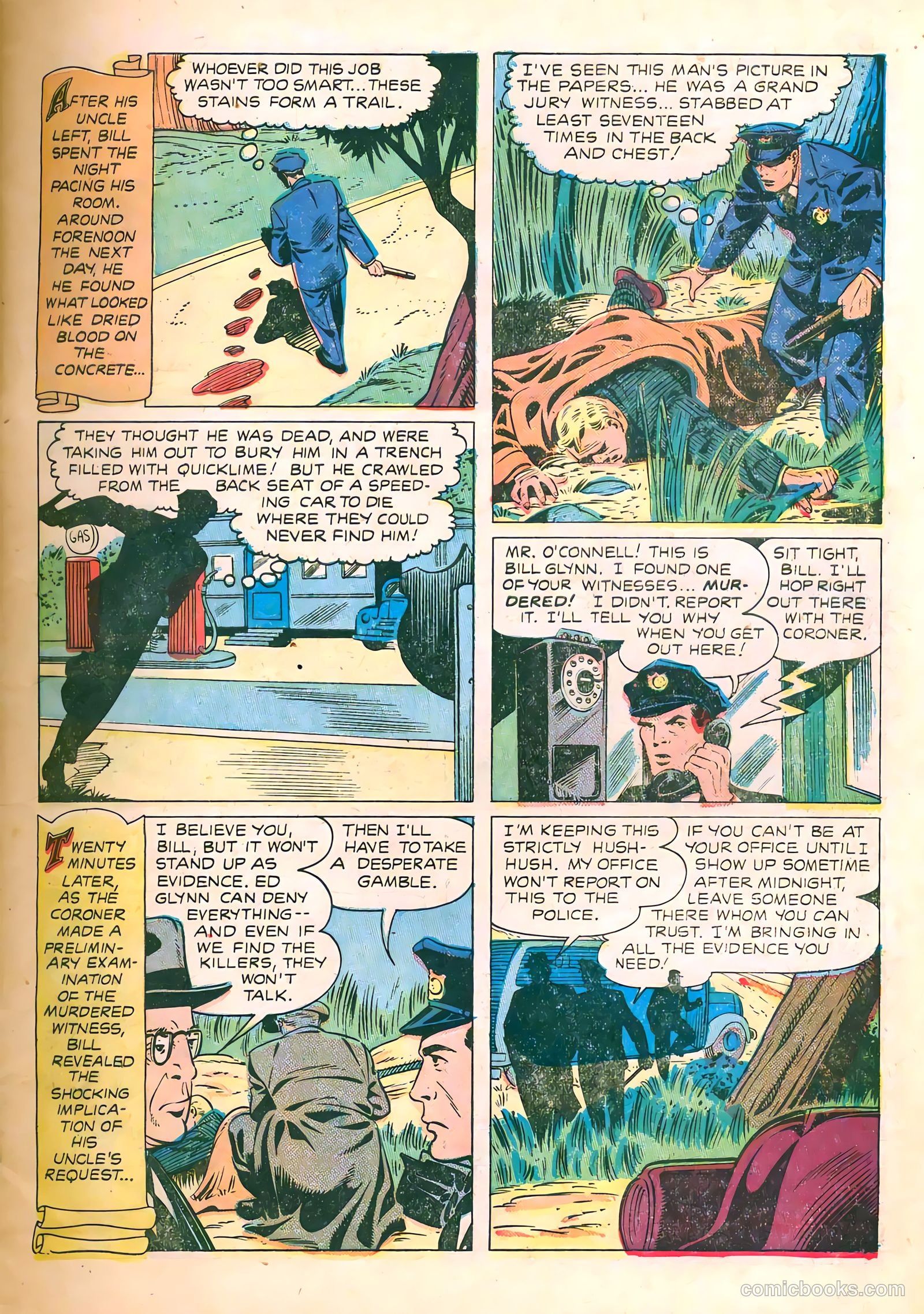 Authentic Police Cases #11 — page 7 of 36