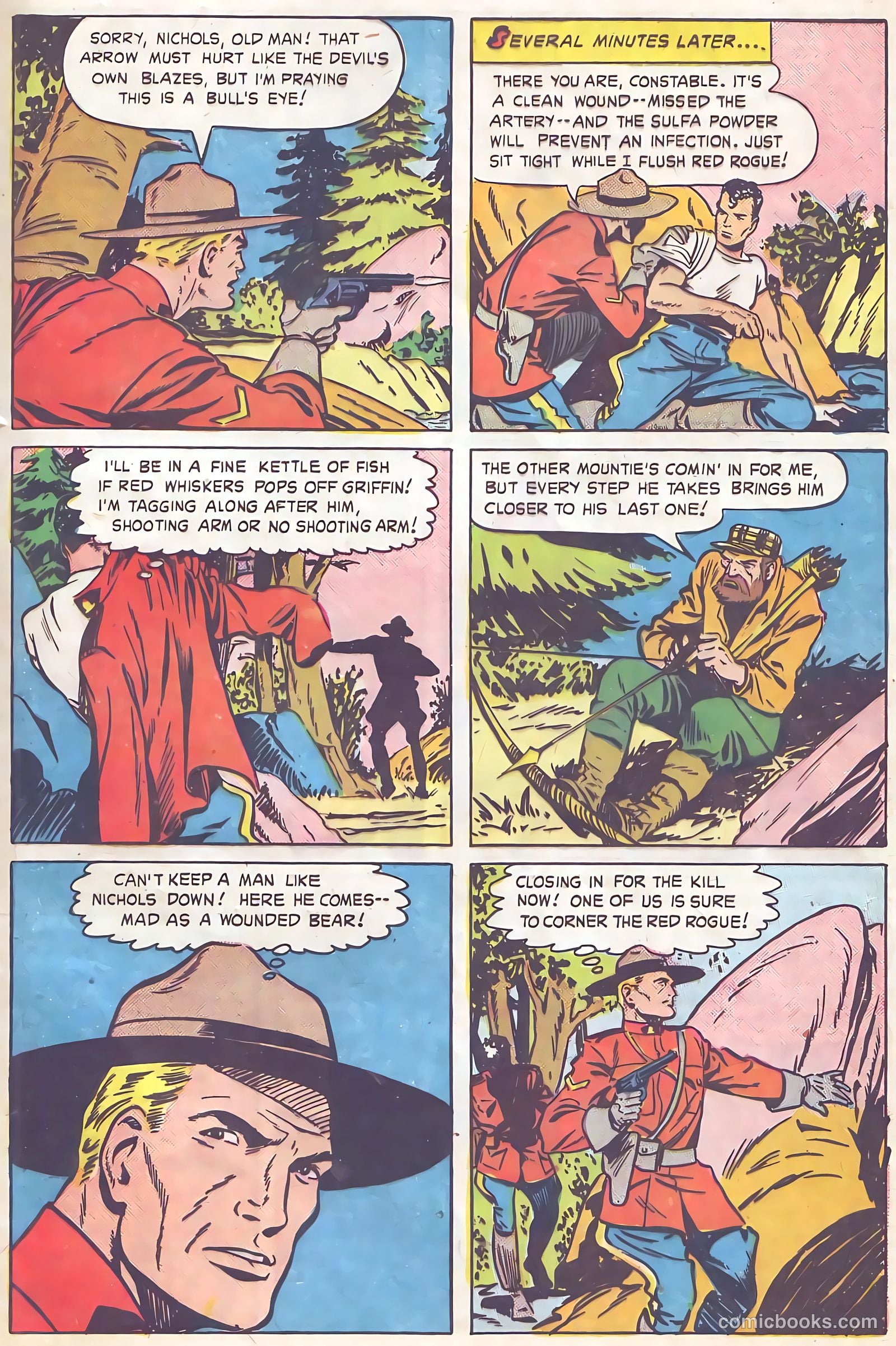 Authentic Police Cases #35 — page 33 of 36