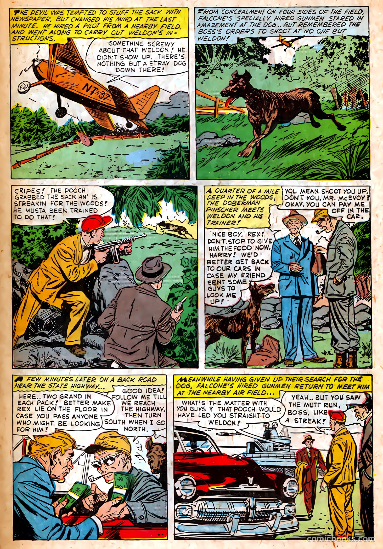Authentic Police Cases #37 — page 31 of 37