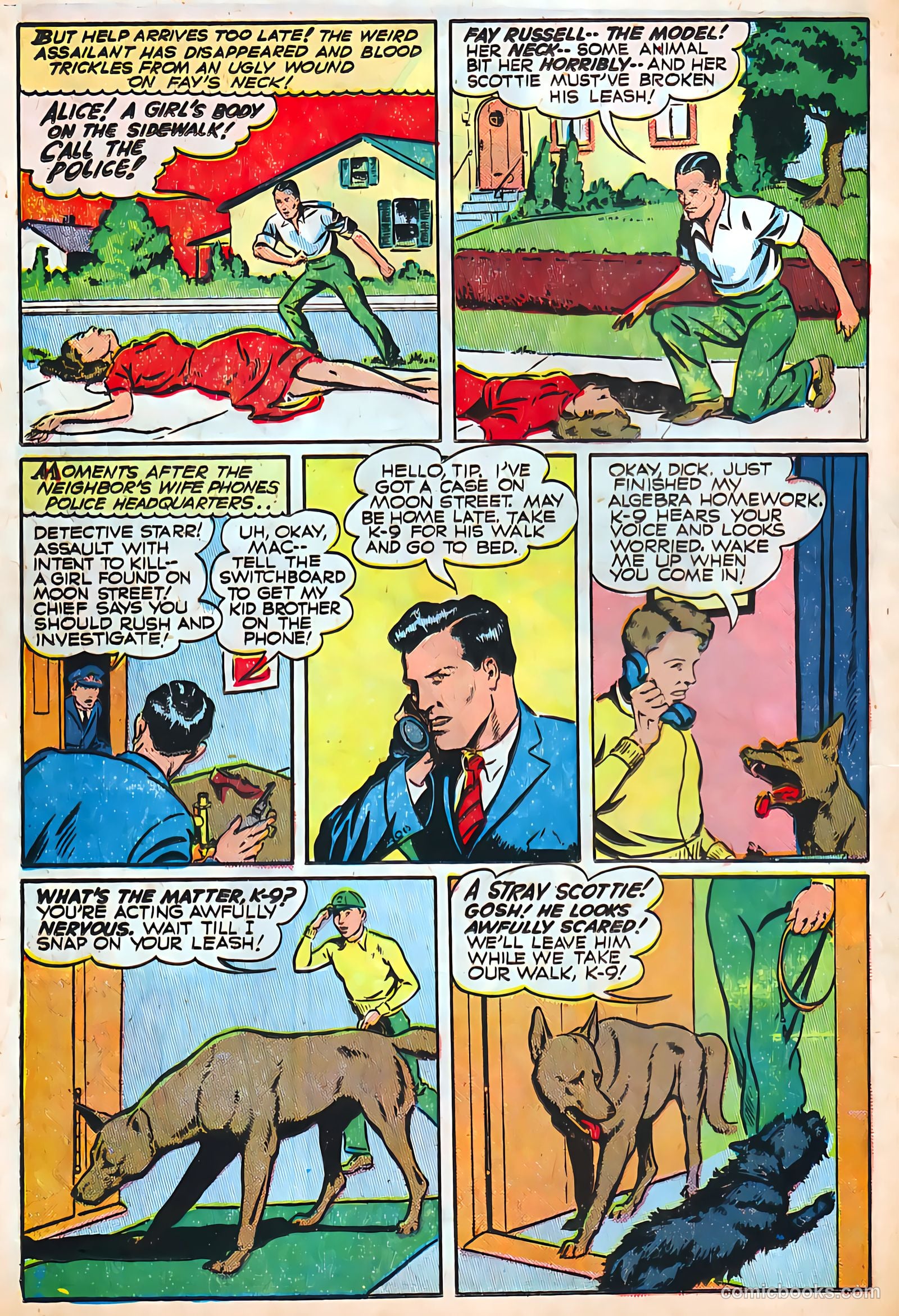 Authentic Police Cases #4 — page 16 of 36
