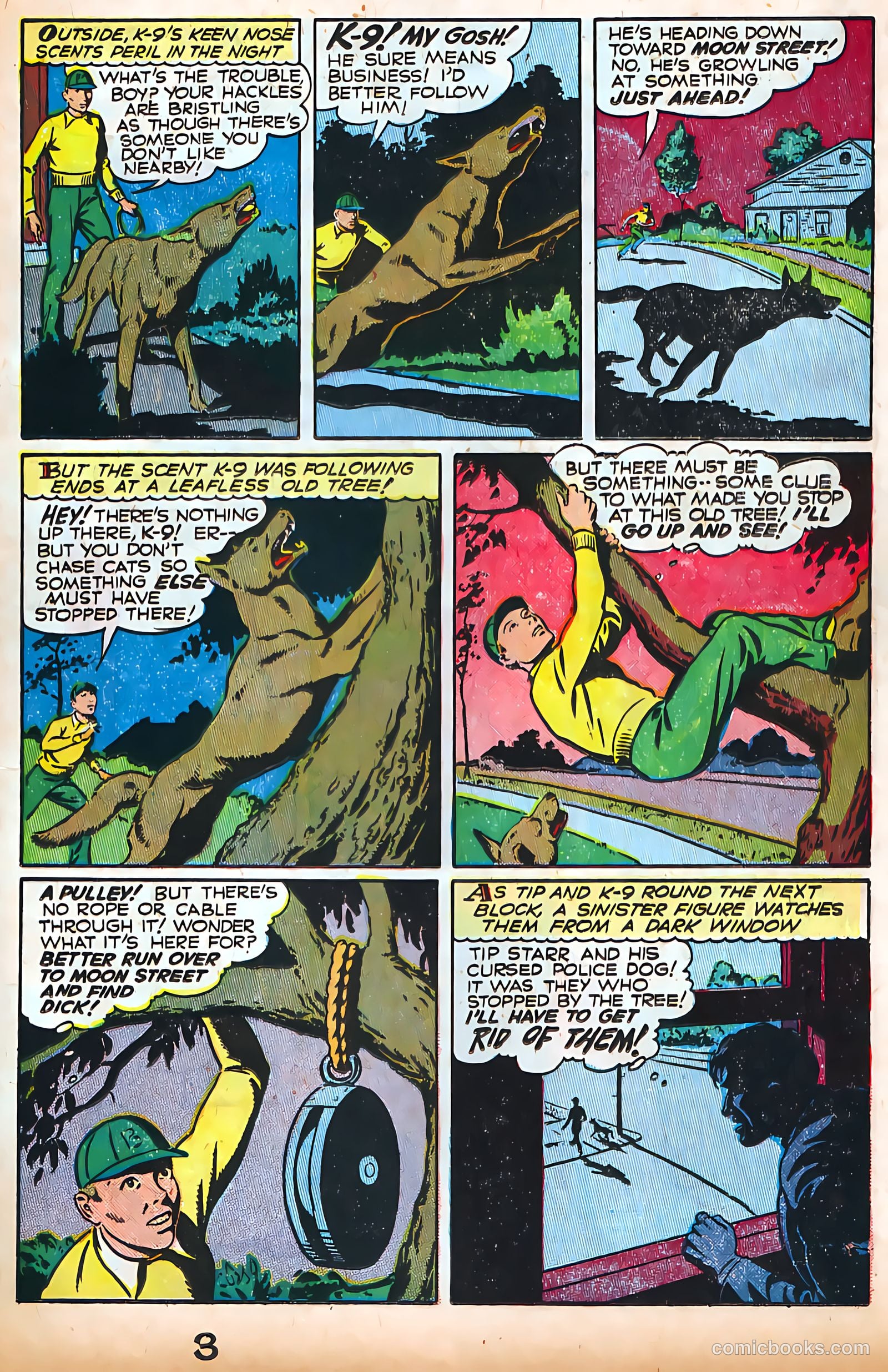 Authentic Police Cases #4 — page 17 of 36