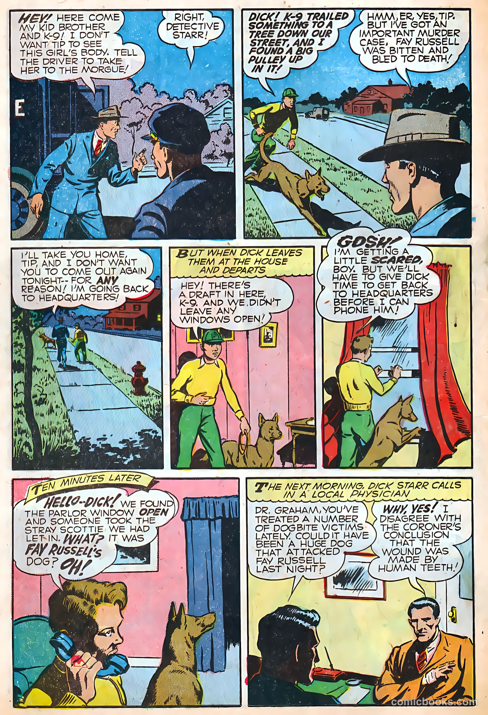 Authentic Police Cases #4 — page 18 of 36