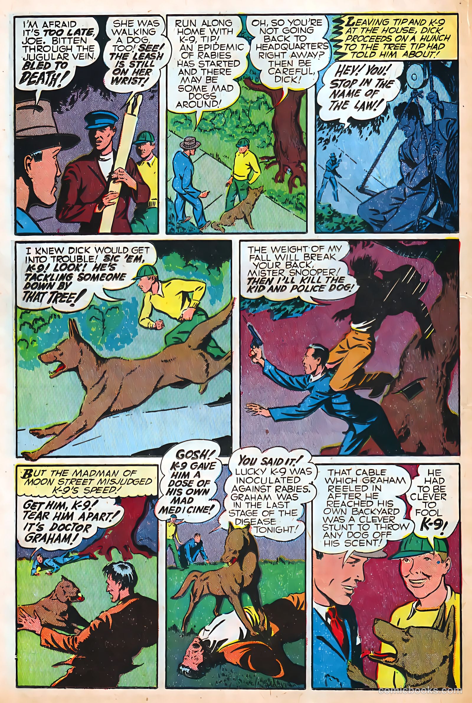 Authentic Police Cases #4 — page 20 of 36