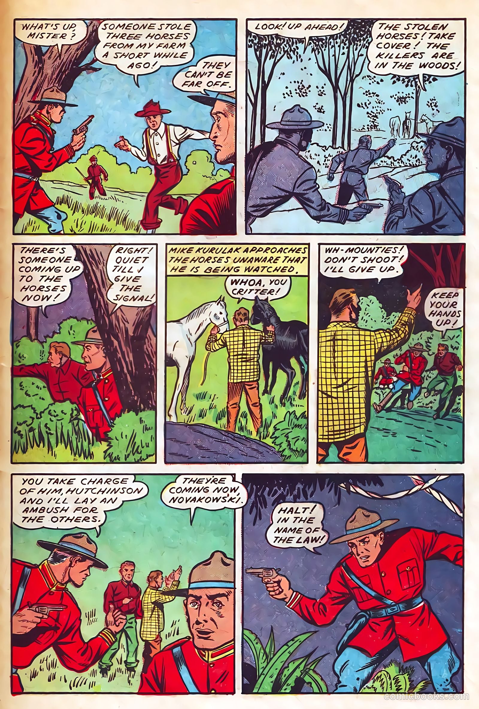 Authentic Police Cases #6 — page 27 of 36
