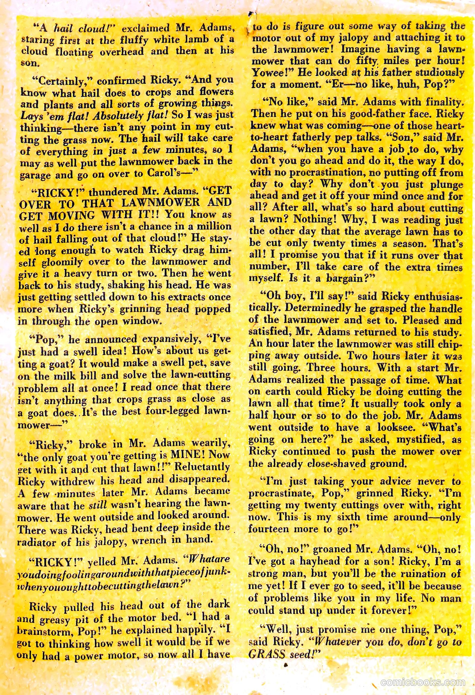 Oh, Brother! #3 — page 27 of 36