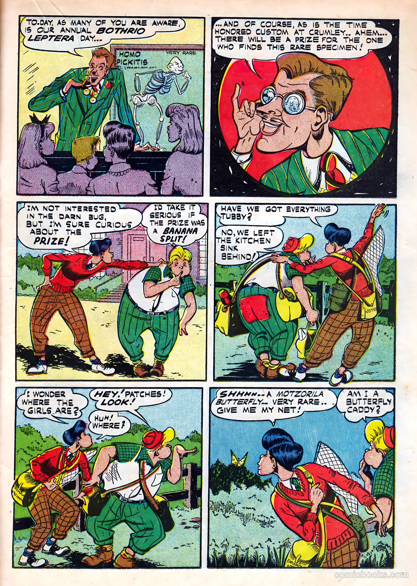 Patches #4 — page 29 of 52