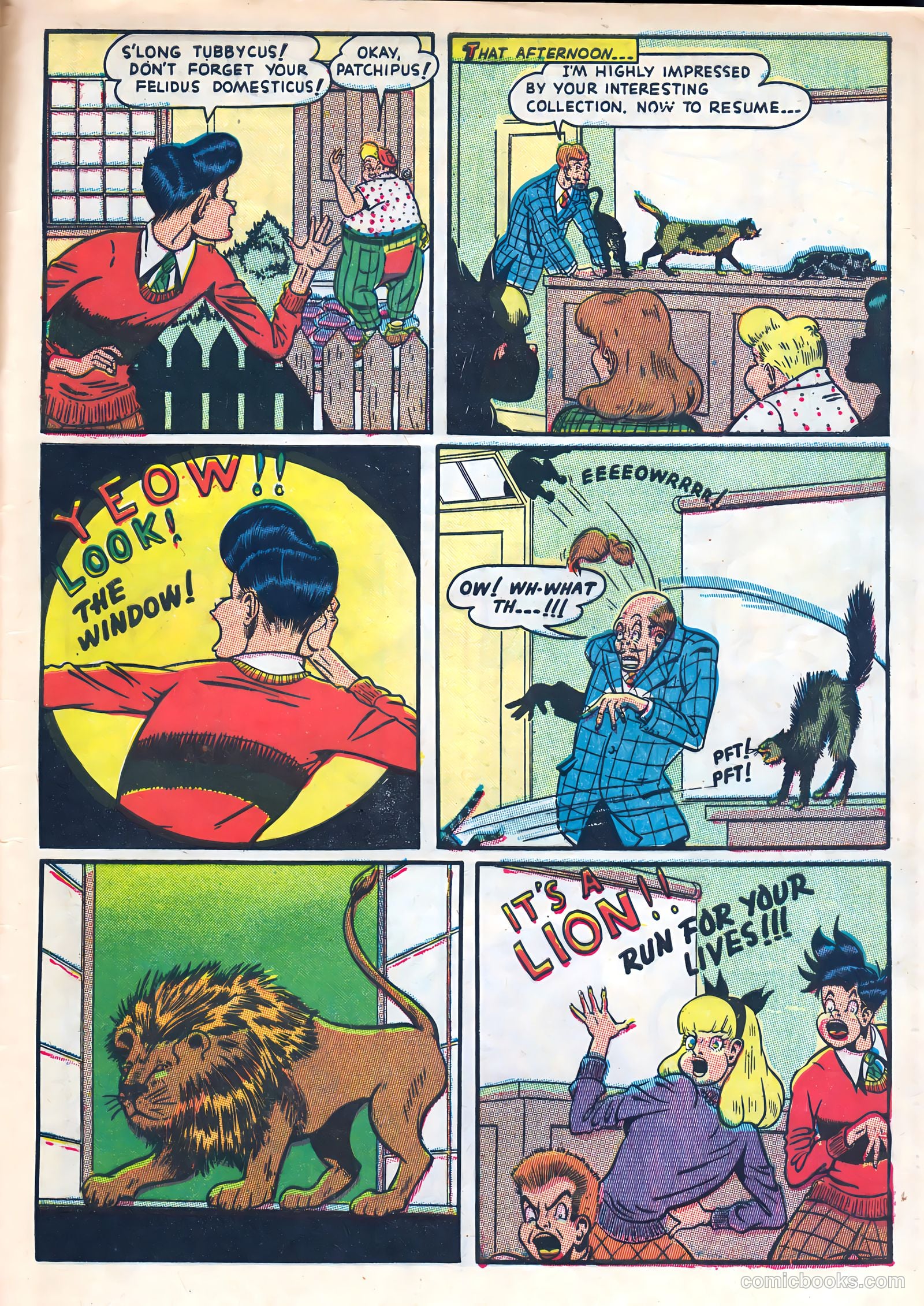 Patches #4 — page 47 of 52