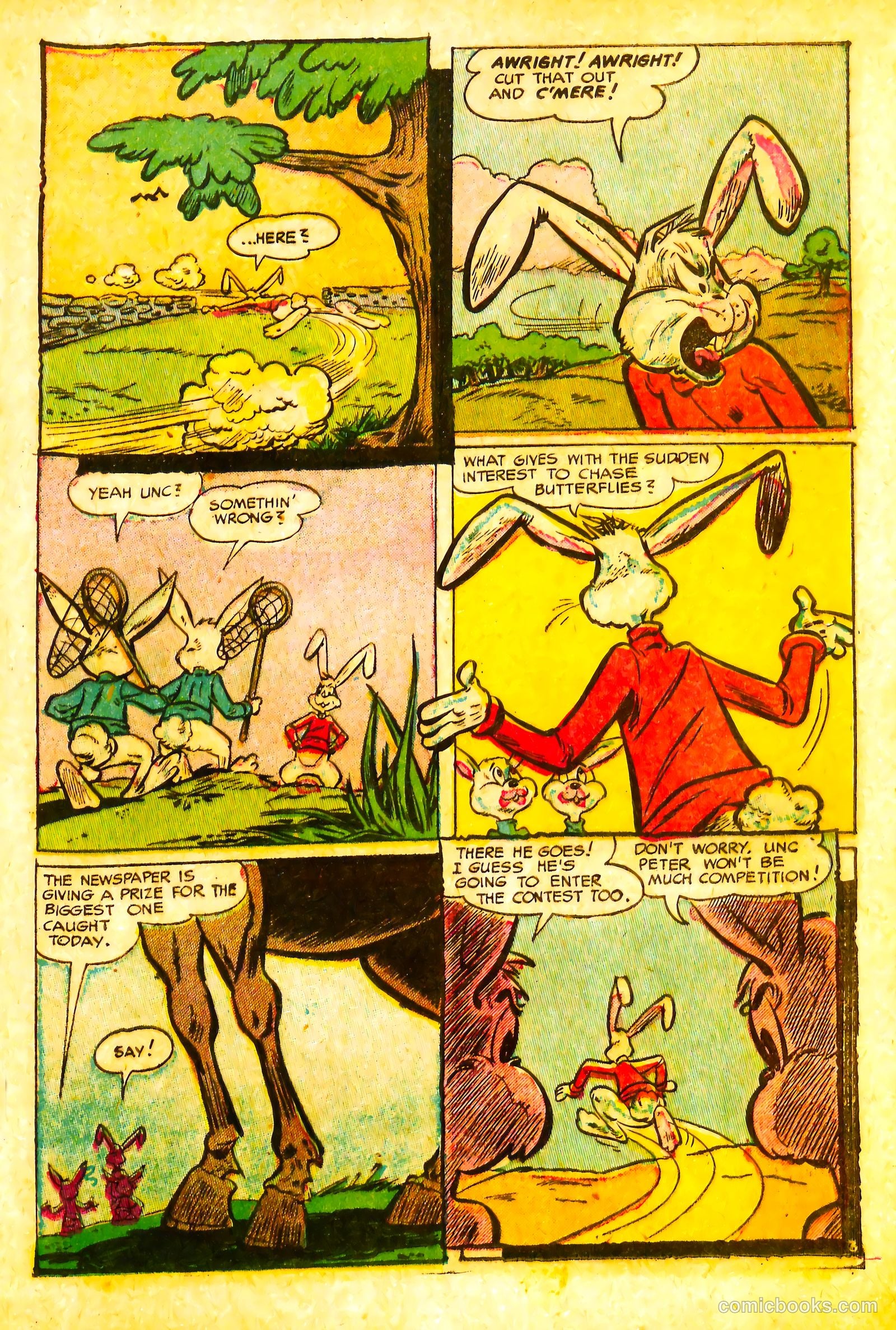 Peter Cottontail #2 — page 21 of 36