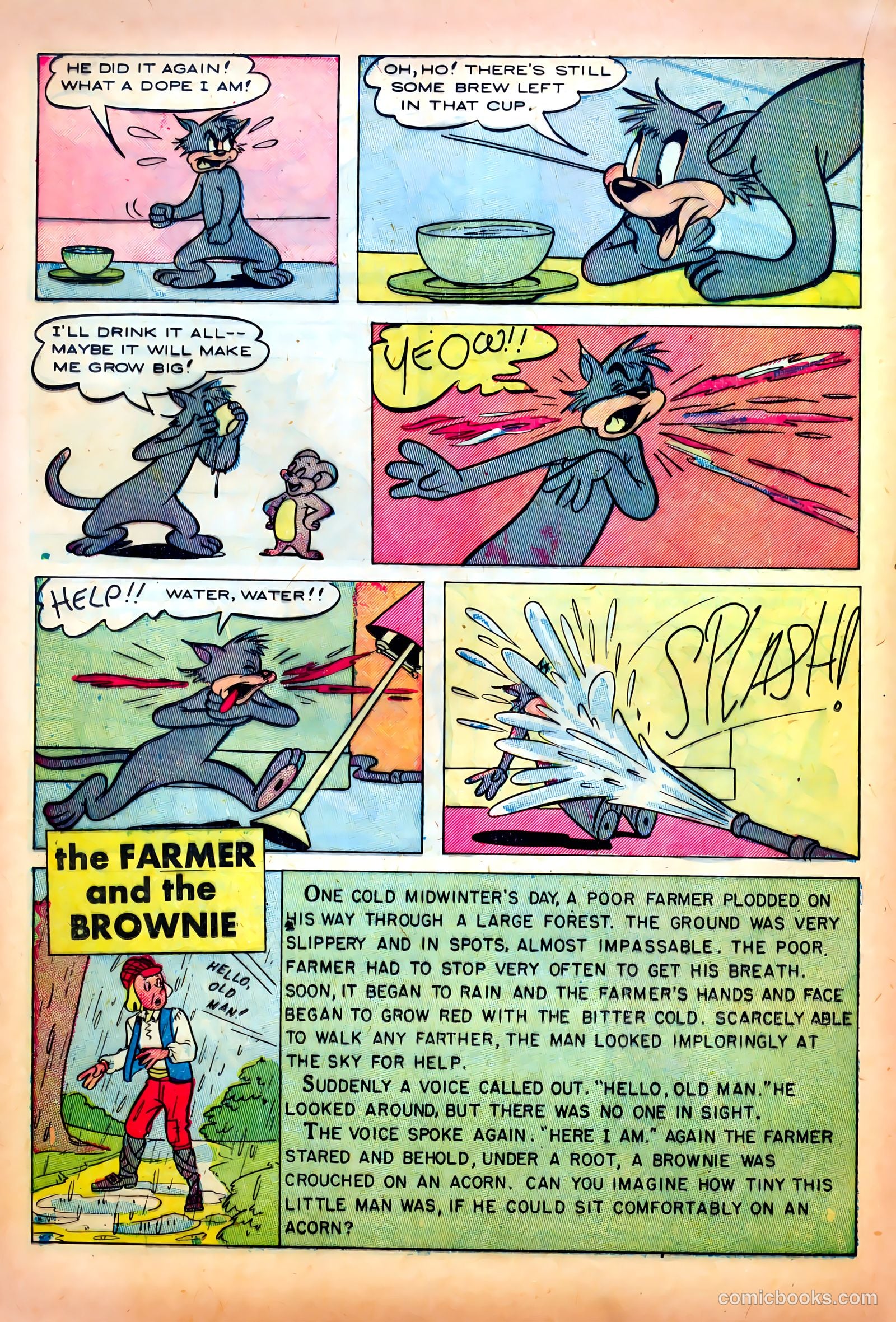Peter Rabbit #10 — page 16 of 36