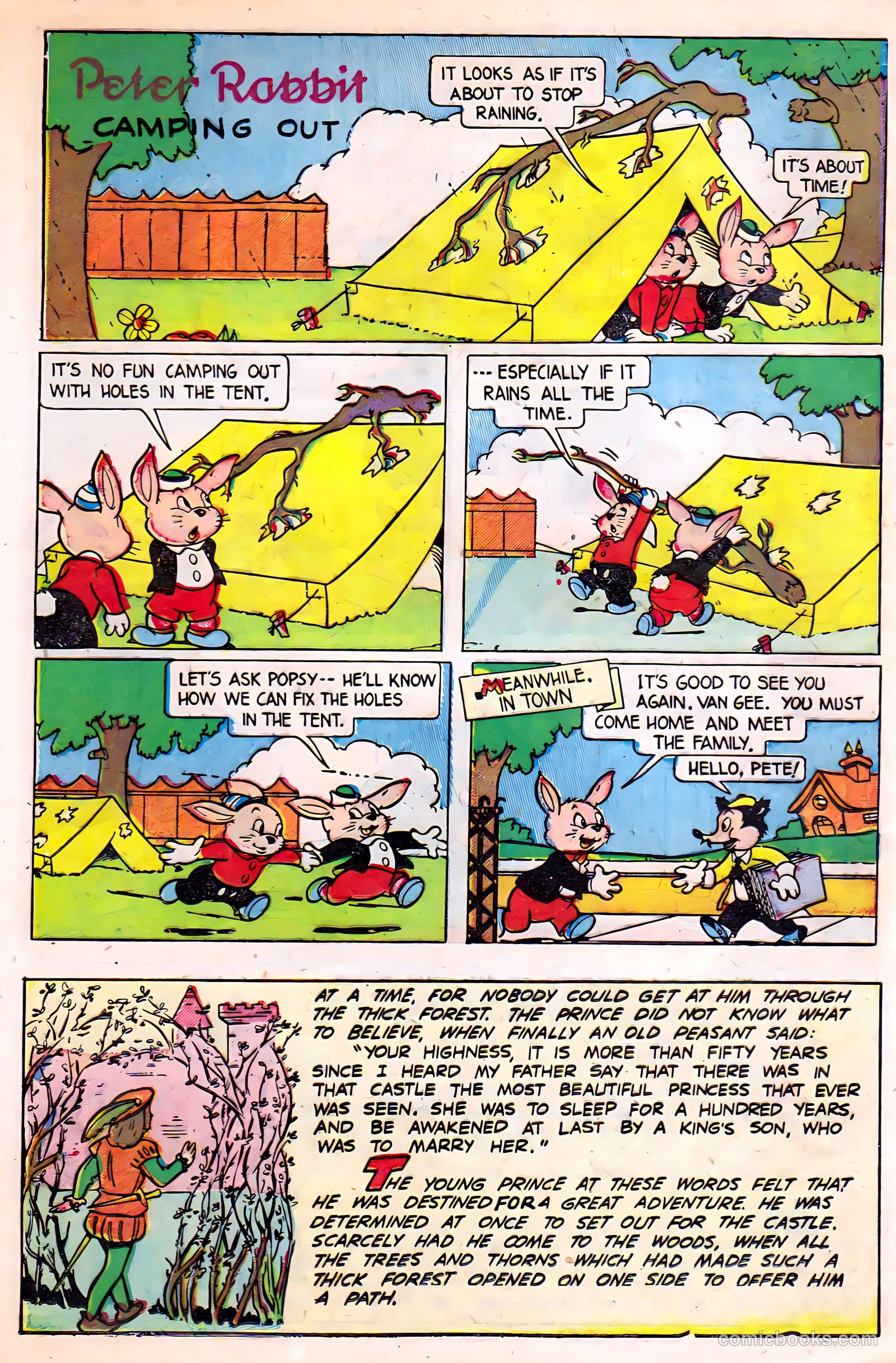 Peter Rabbit #7 — page 12 of 36