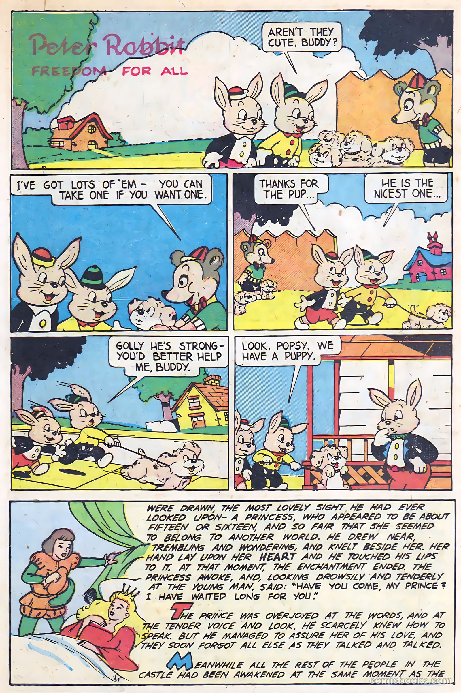Peter Rabbit #7 — page 14 of 36