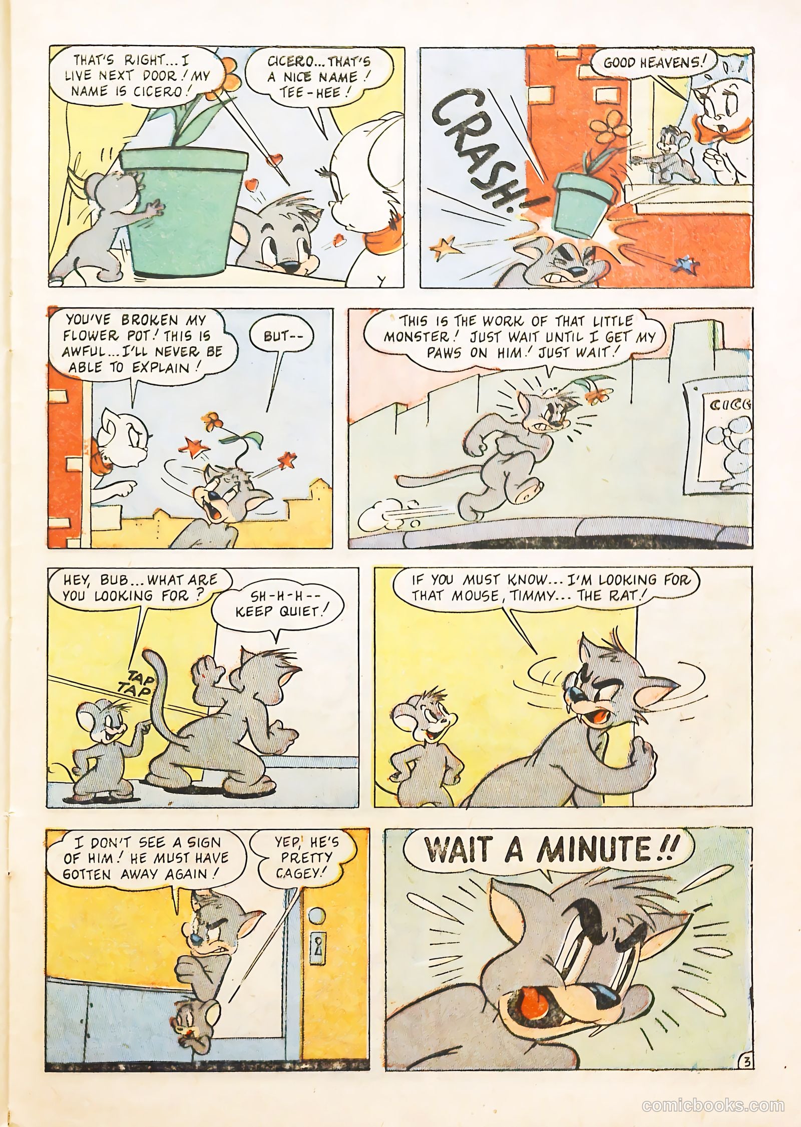 Peter Rabbit #8 — page 29 of 36