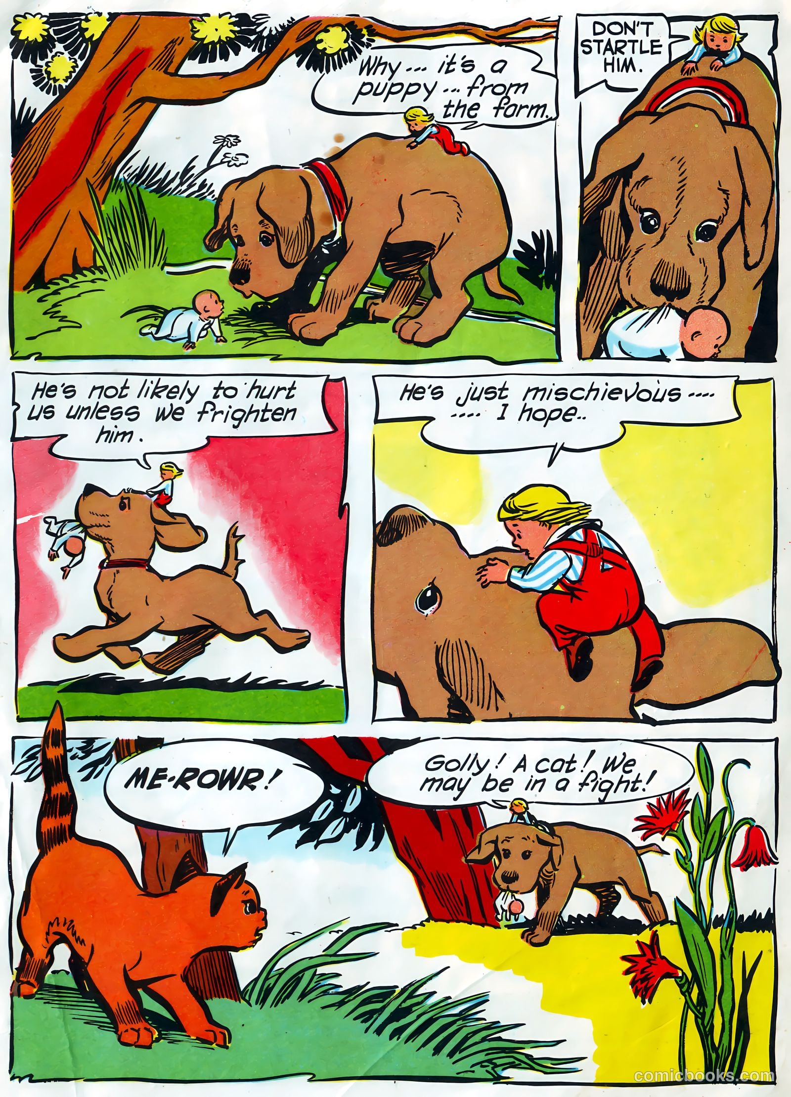 Peter Wheat News #29 — page 5 of 6