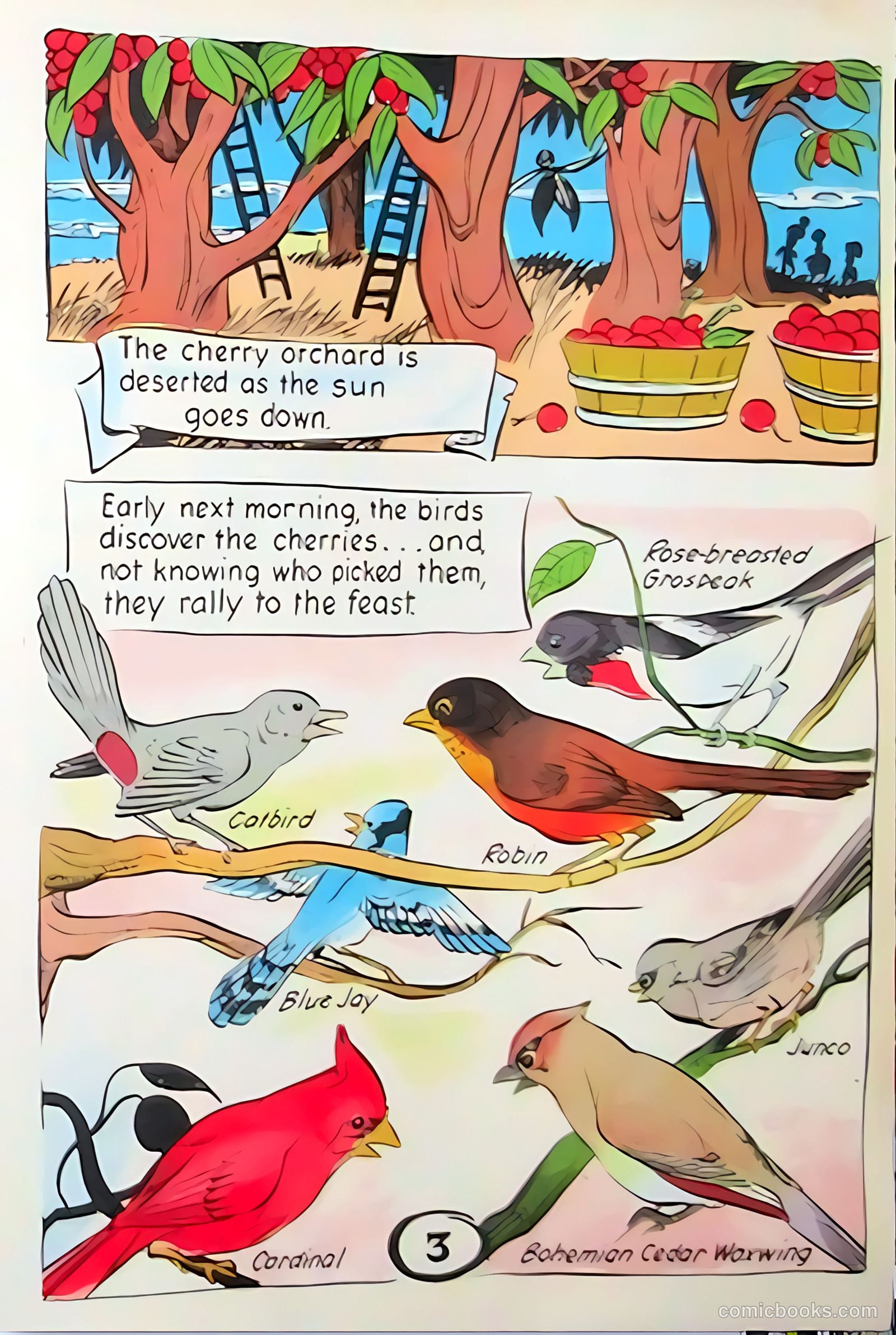 Peter Wheat News #7 — page 4 of 5