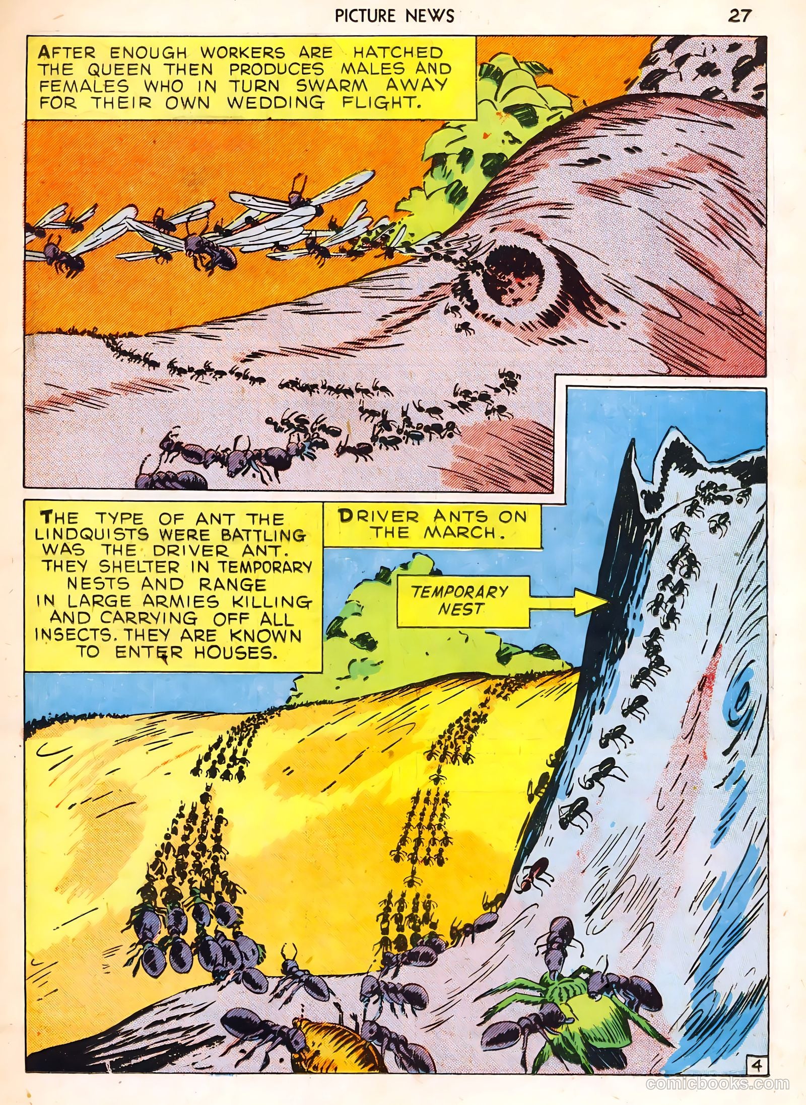 Picture News #1 — page 27 of 52