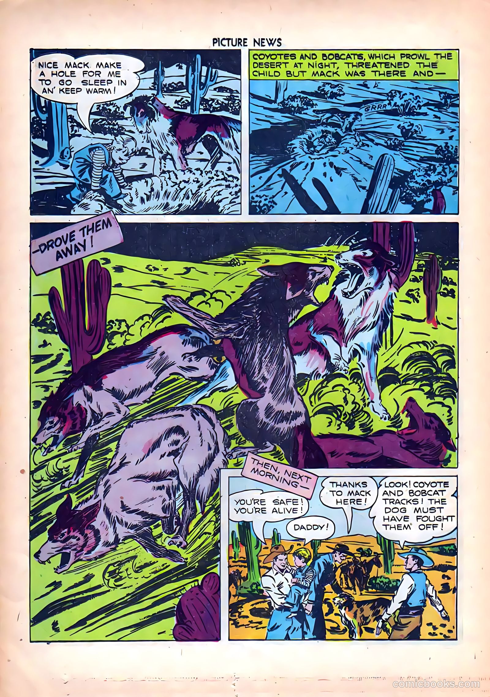 Picture News #6 — page 12 of 36