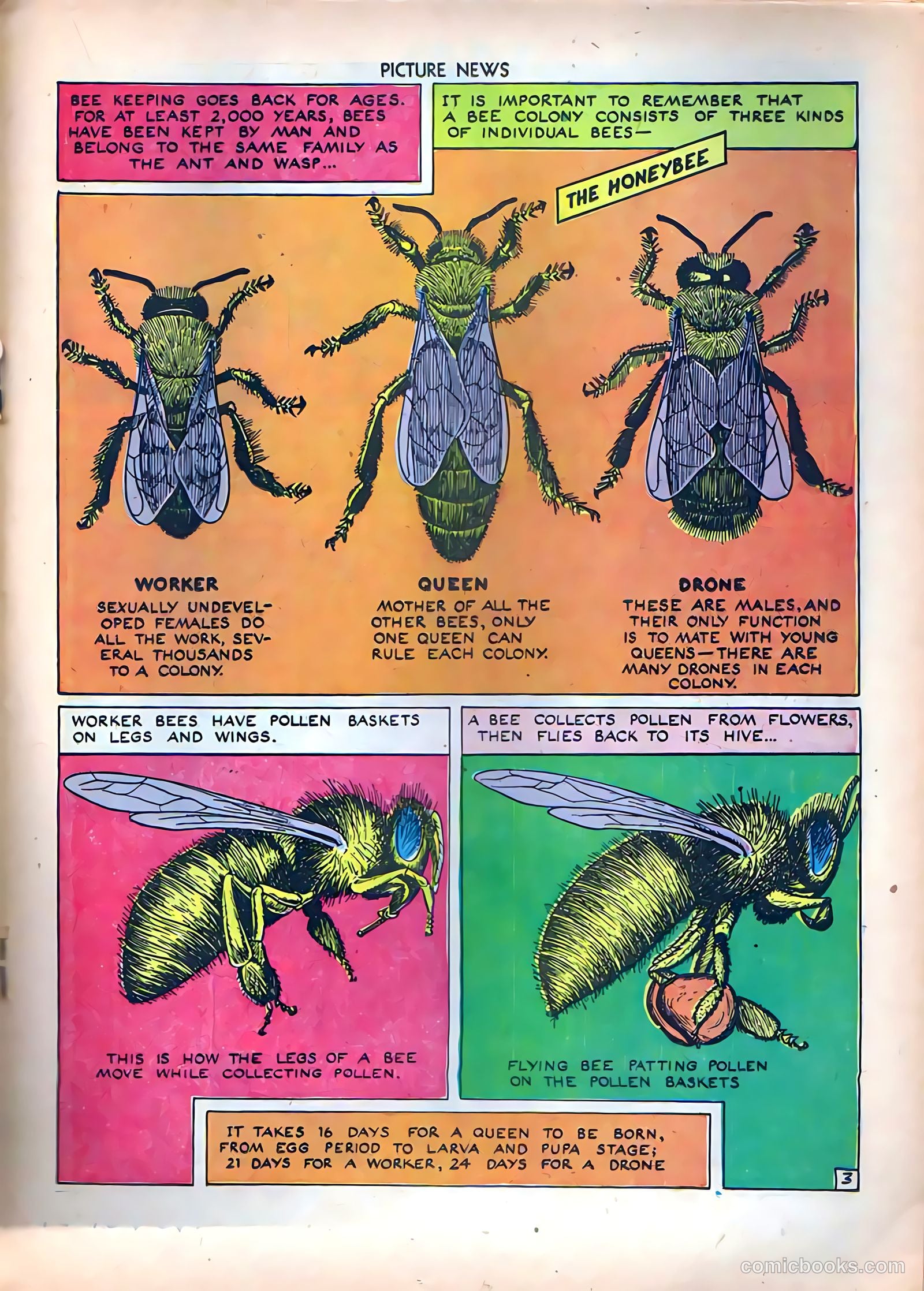 Picture News #8 — page 27 of 52