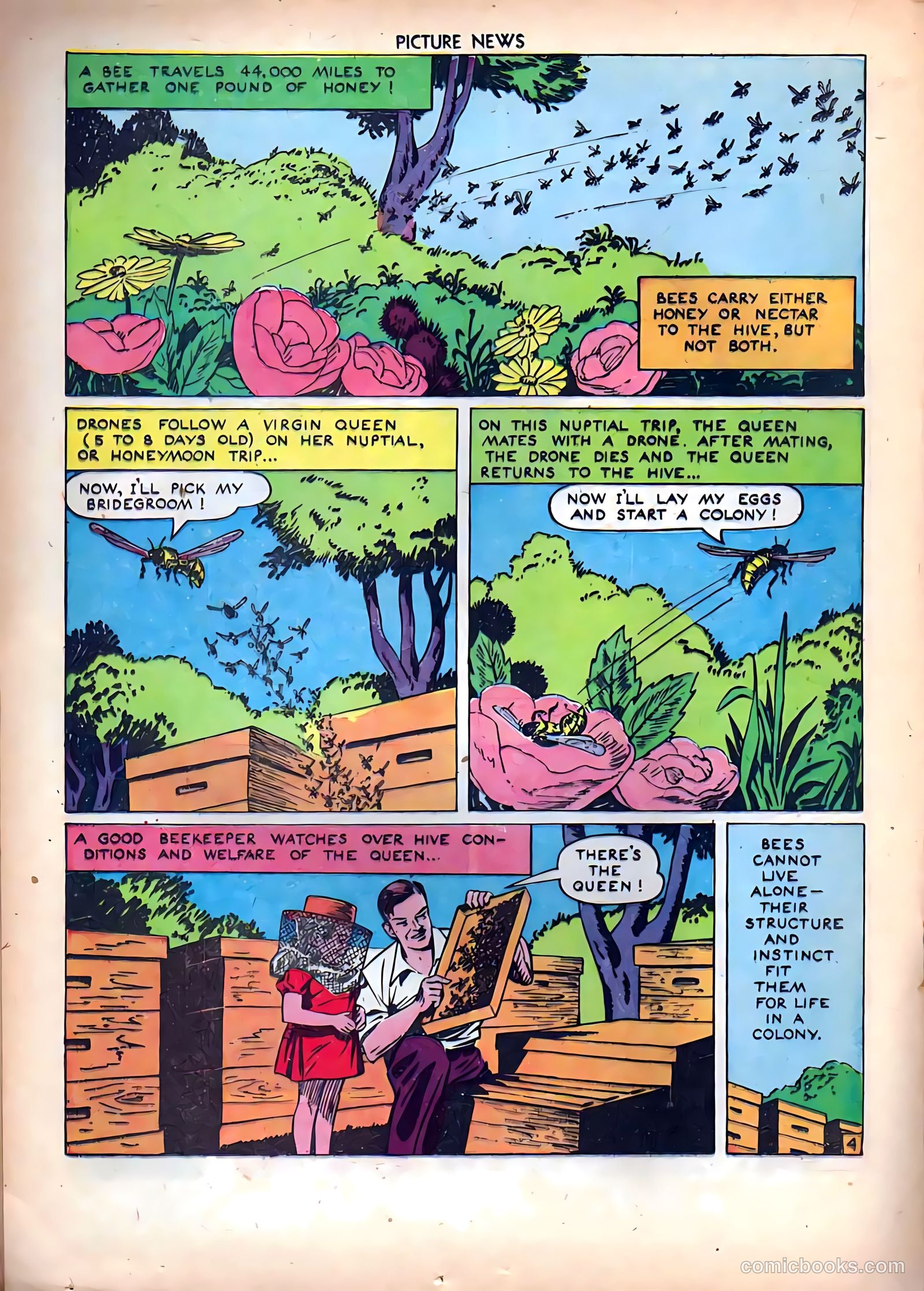 Picture News #8 — page 28 of 52