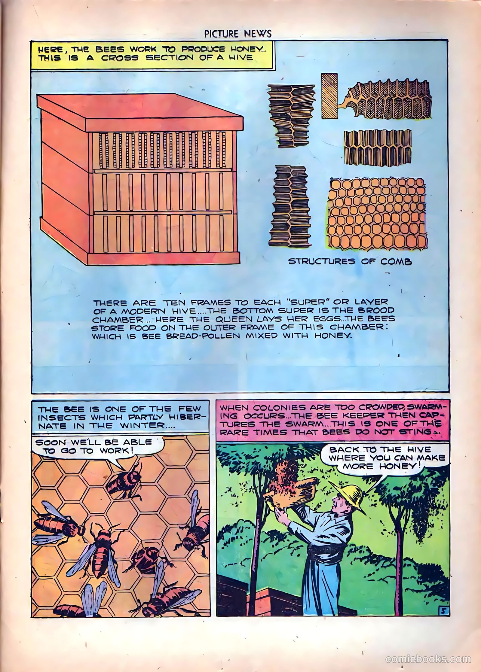 Picture News #8 — page 29 of 52