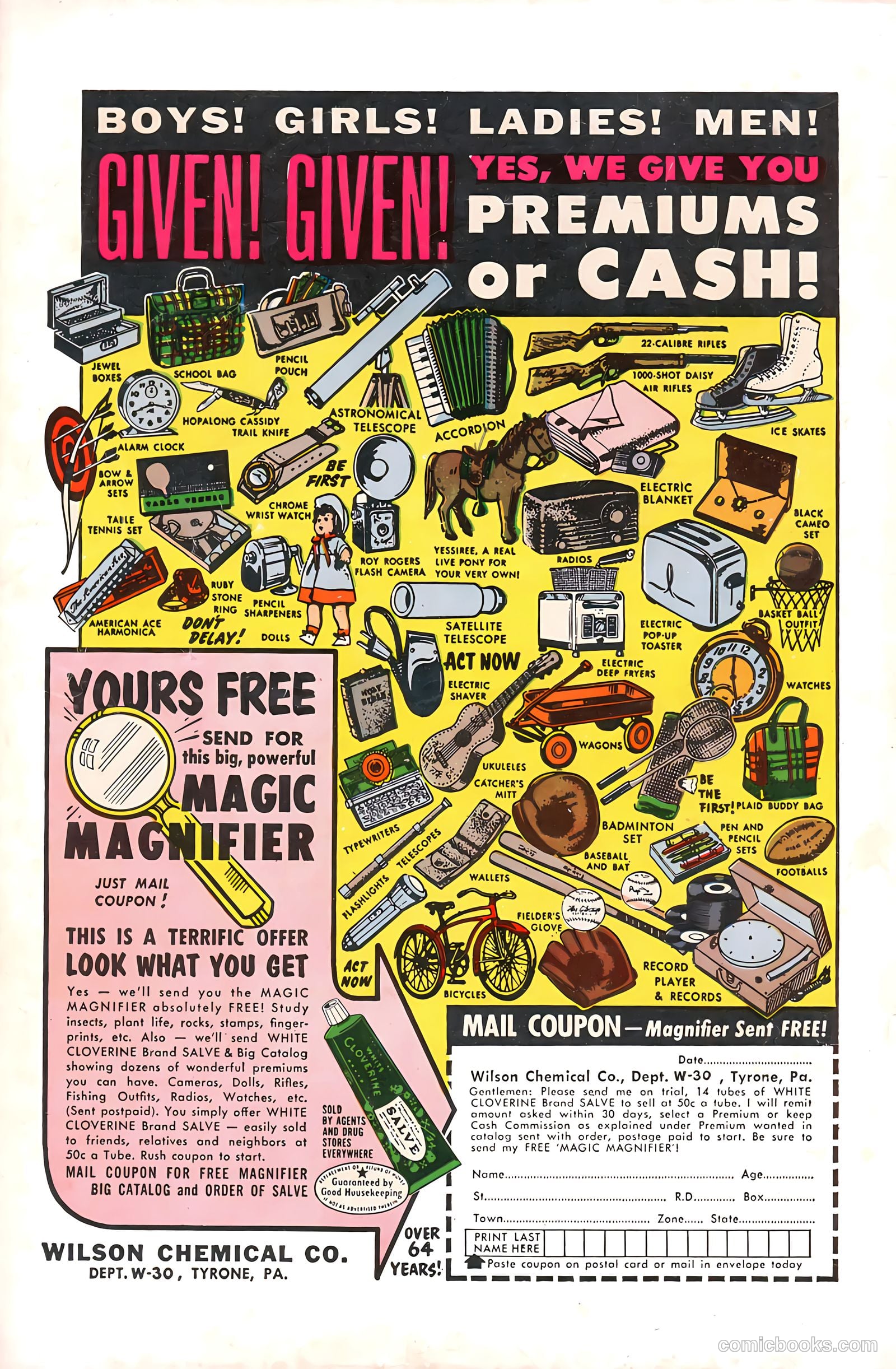 Pinky the Egghead #1 — page 36 of 36