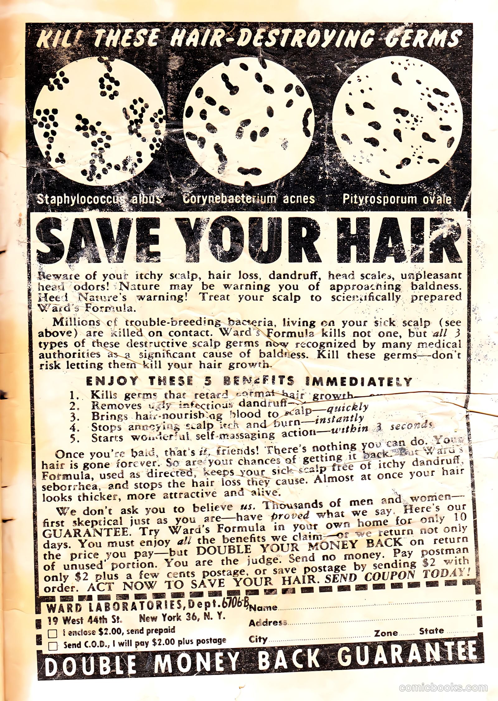 Police Against Crime #8 — page 35 of 36
