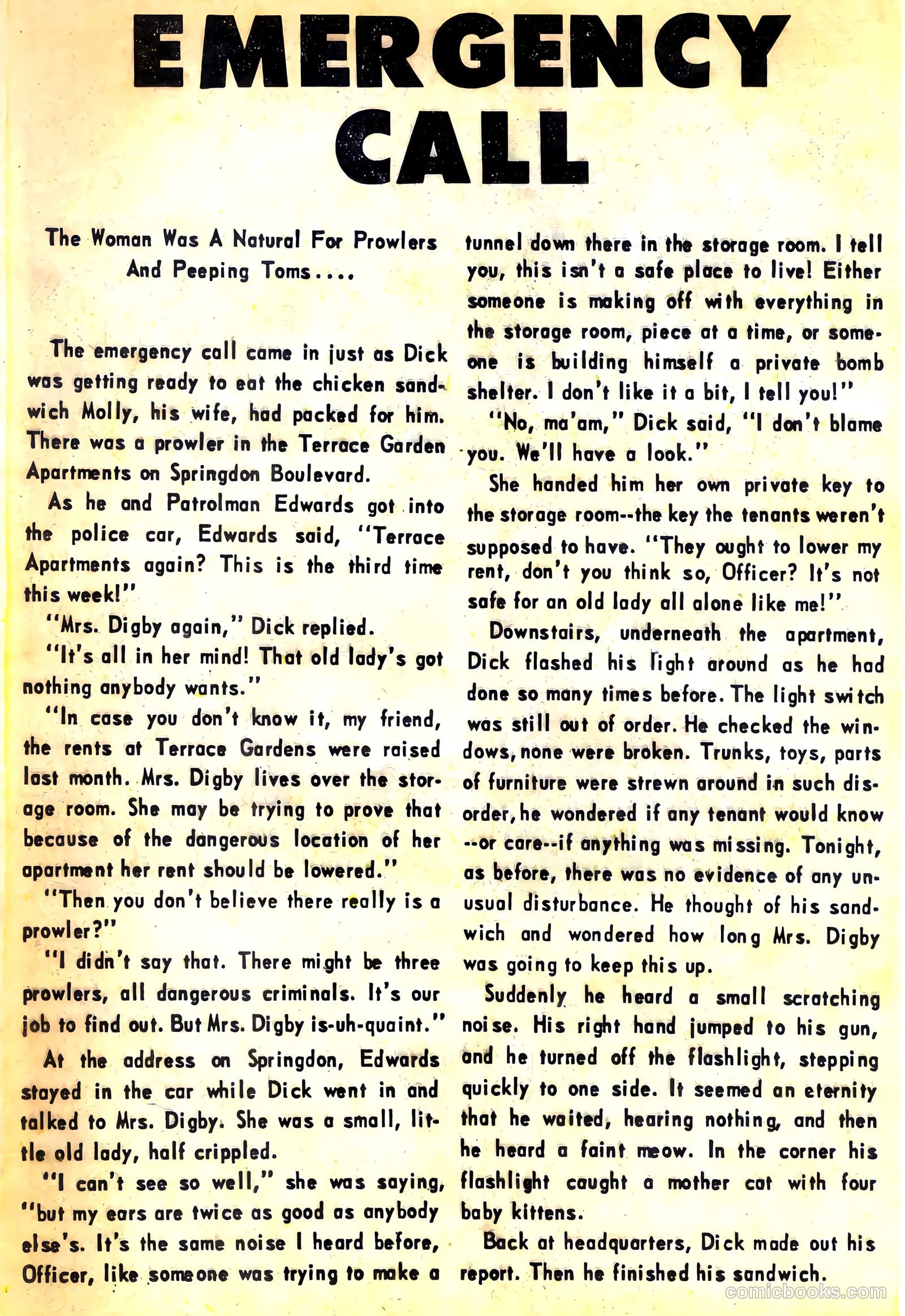 Police Trap #11 — page 16 of 36
