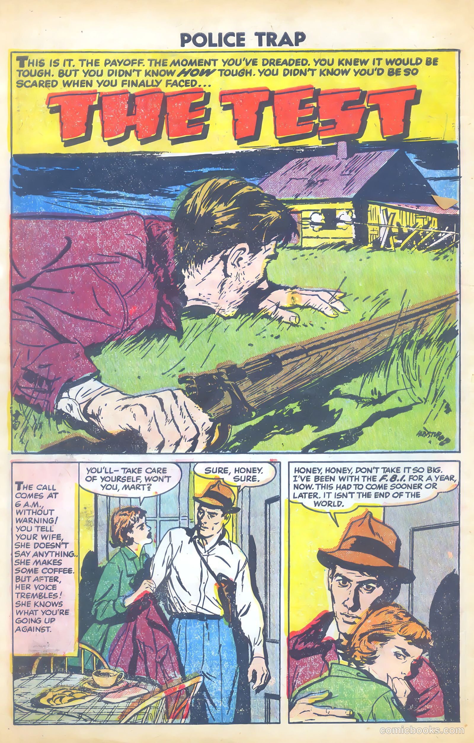 Police Trap #5 — page 10 of 36