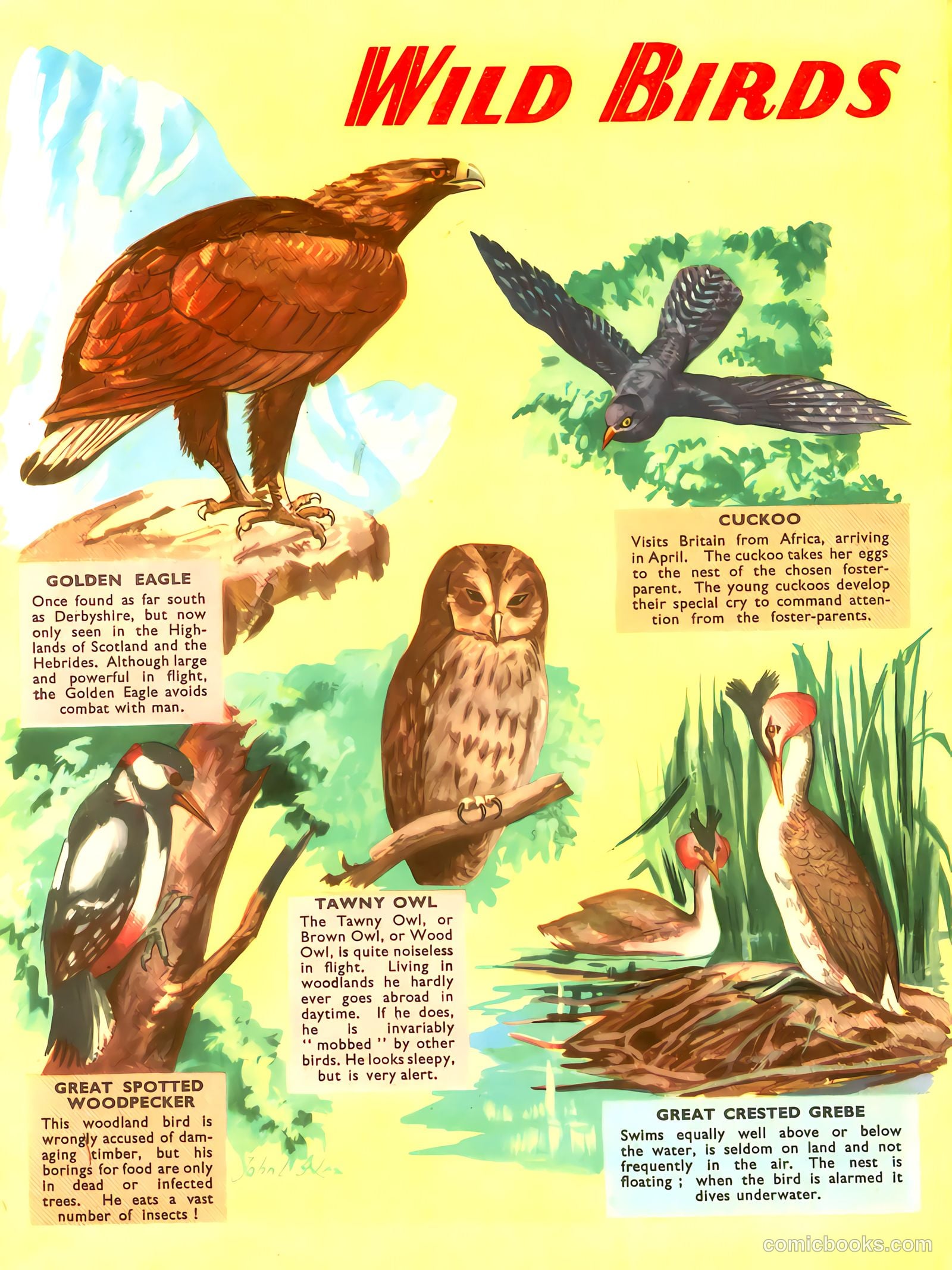 Radio Fun Annual #1959 — page 118 of 120