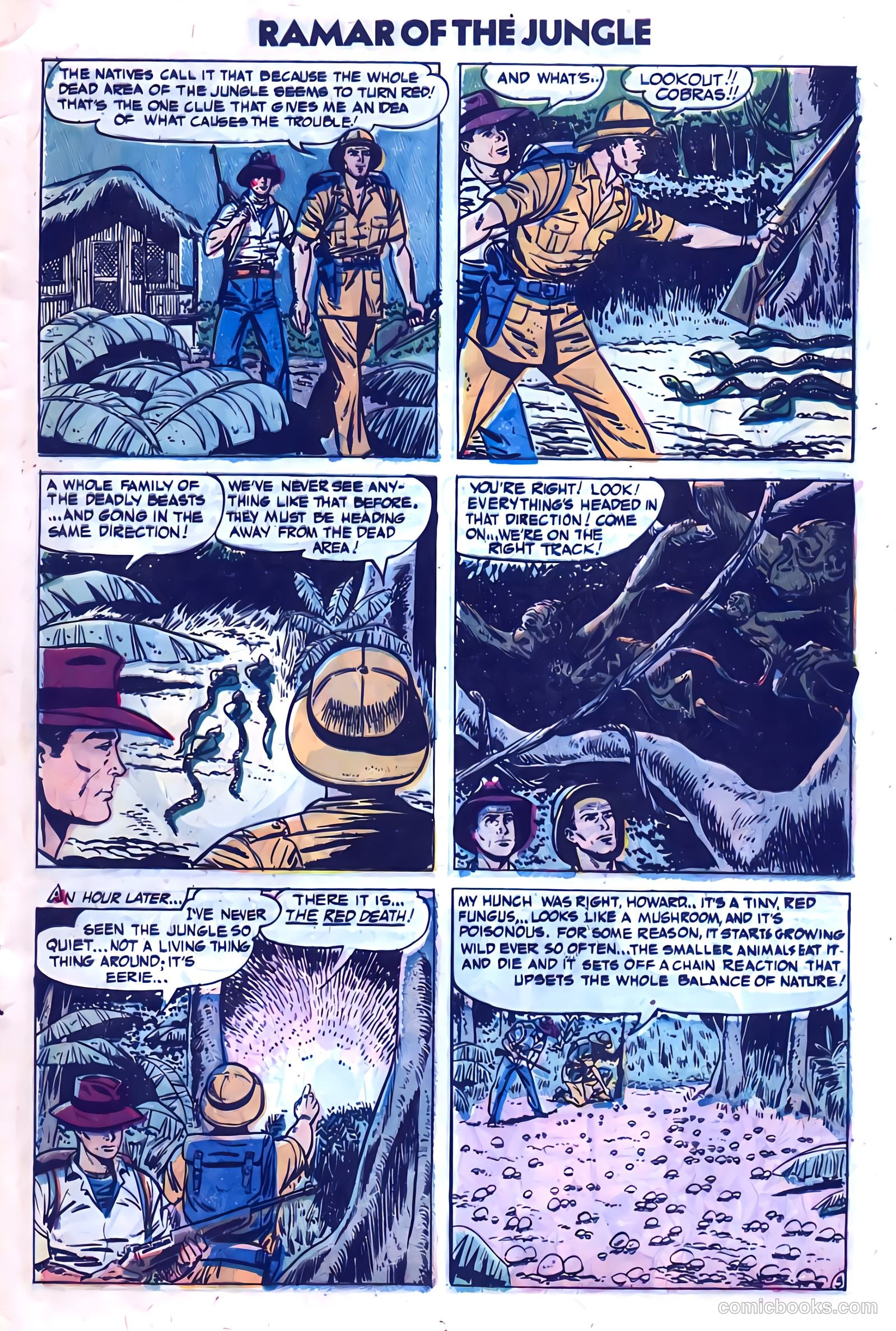 Ramar of the Jungle #2 — page 13 of 36