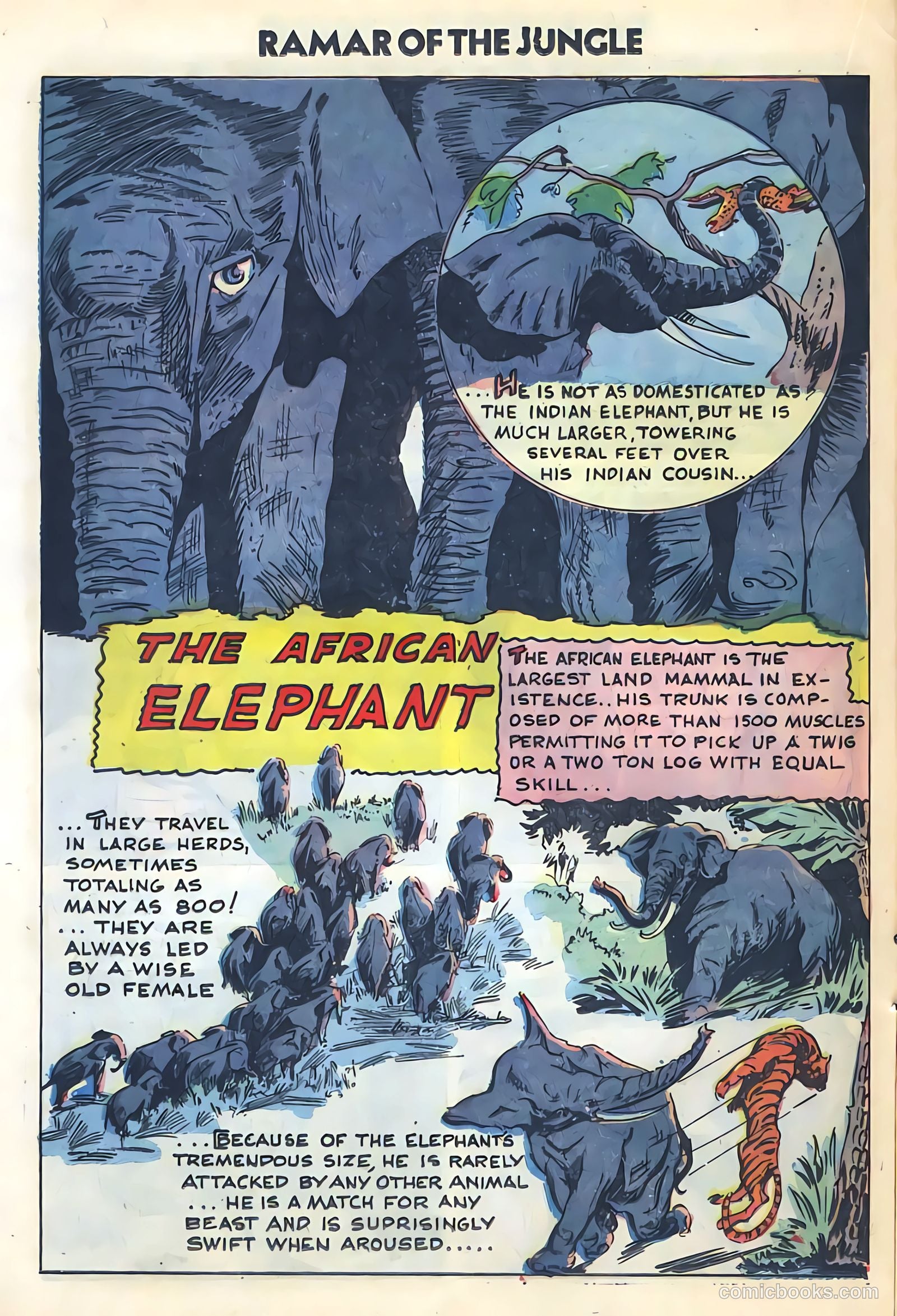 Ramar of the Jungle #2 — page 16 of 36
